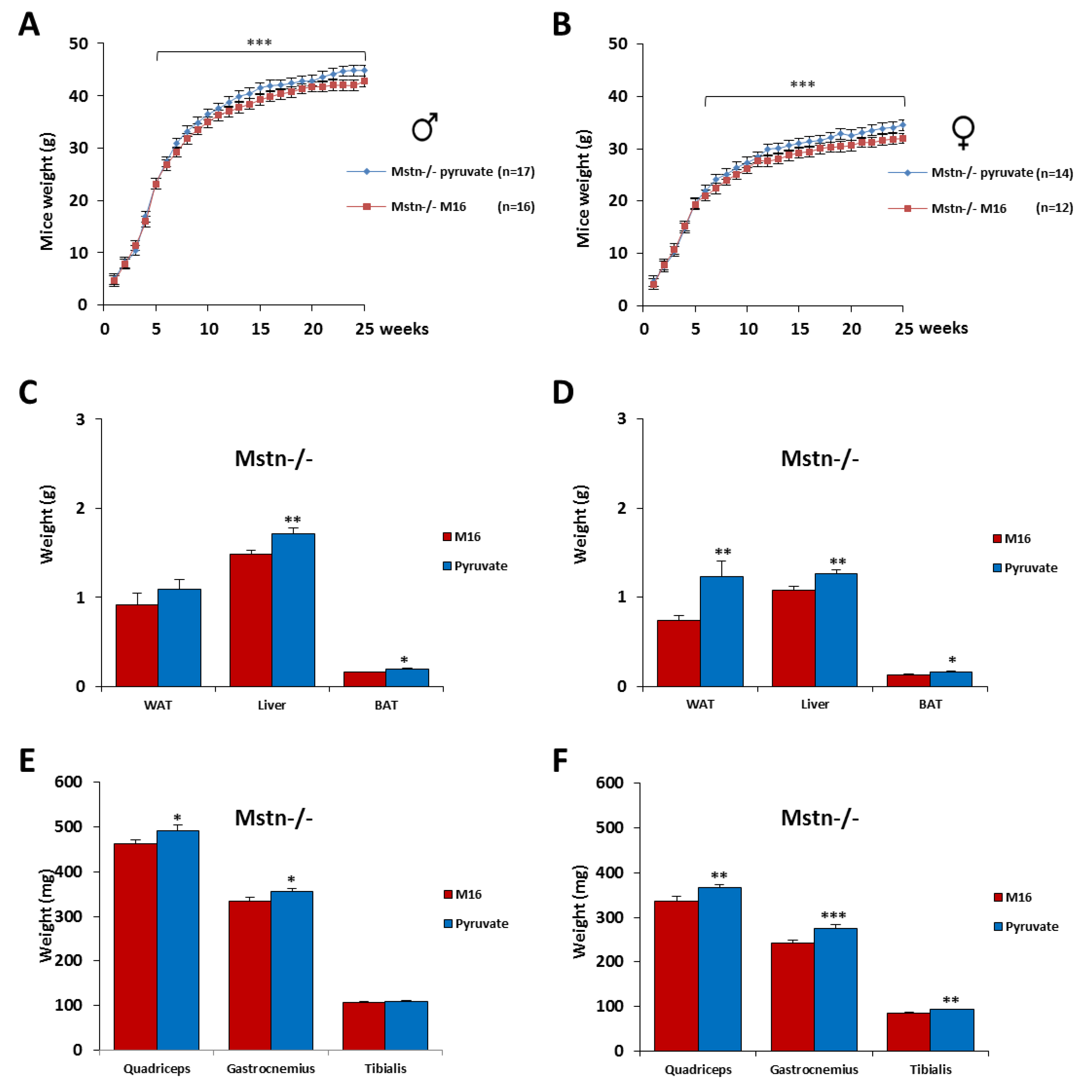 Ijms 21 07203 g005 Ijms 21 07203 g005