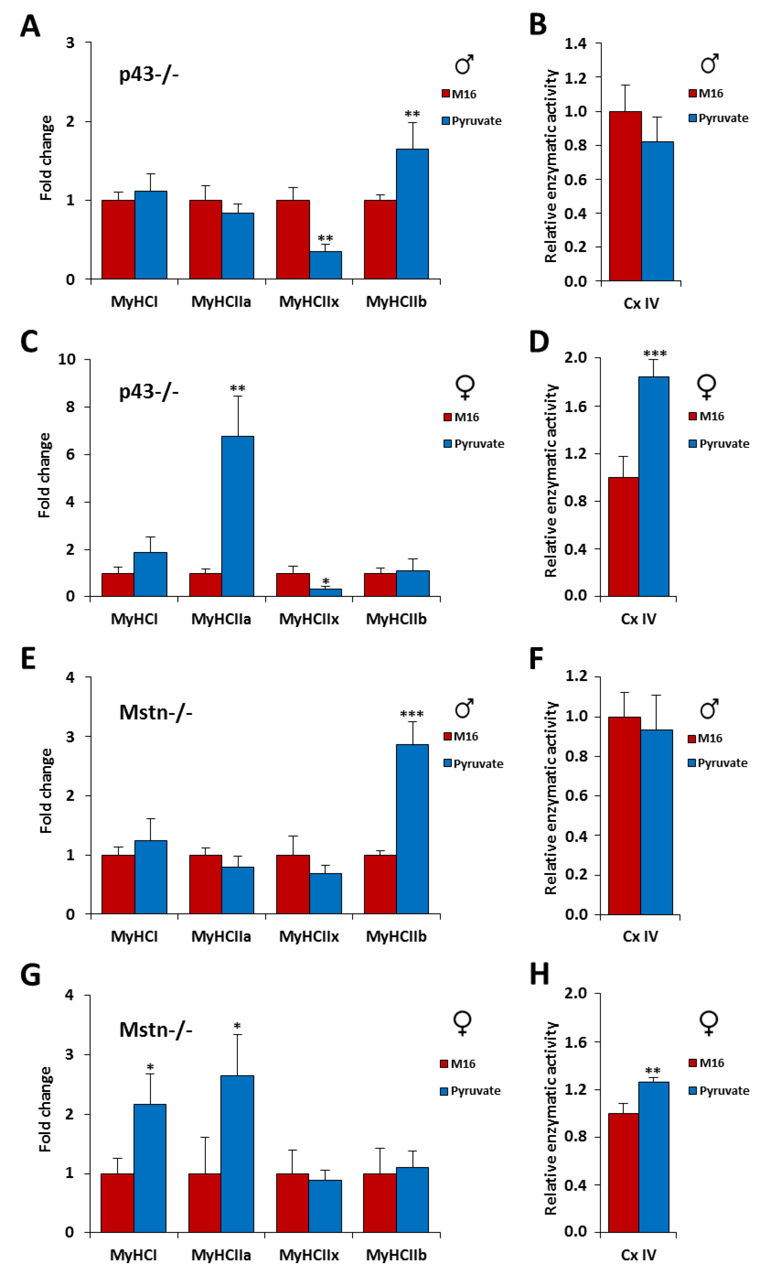 Ijms 21 07203 g006 Ijms 21 07203 g006