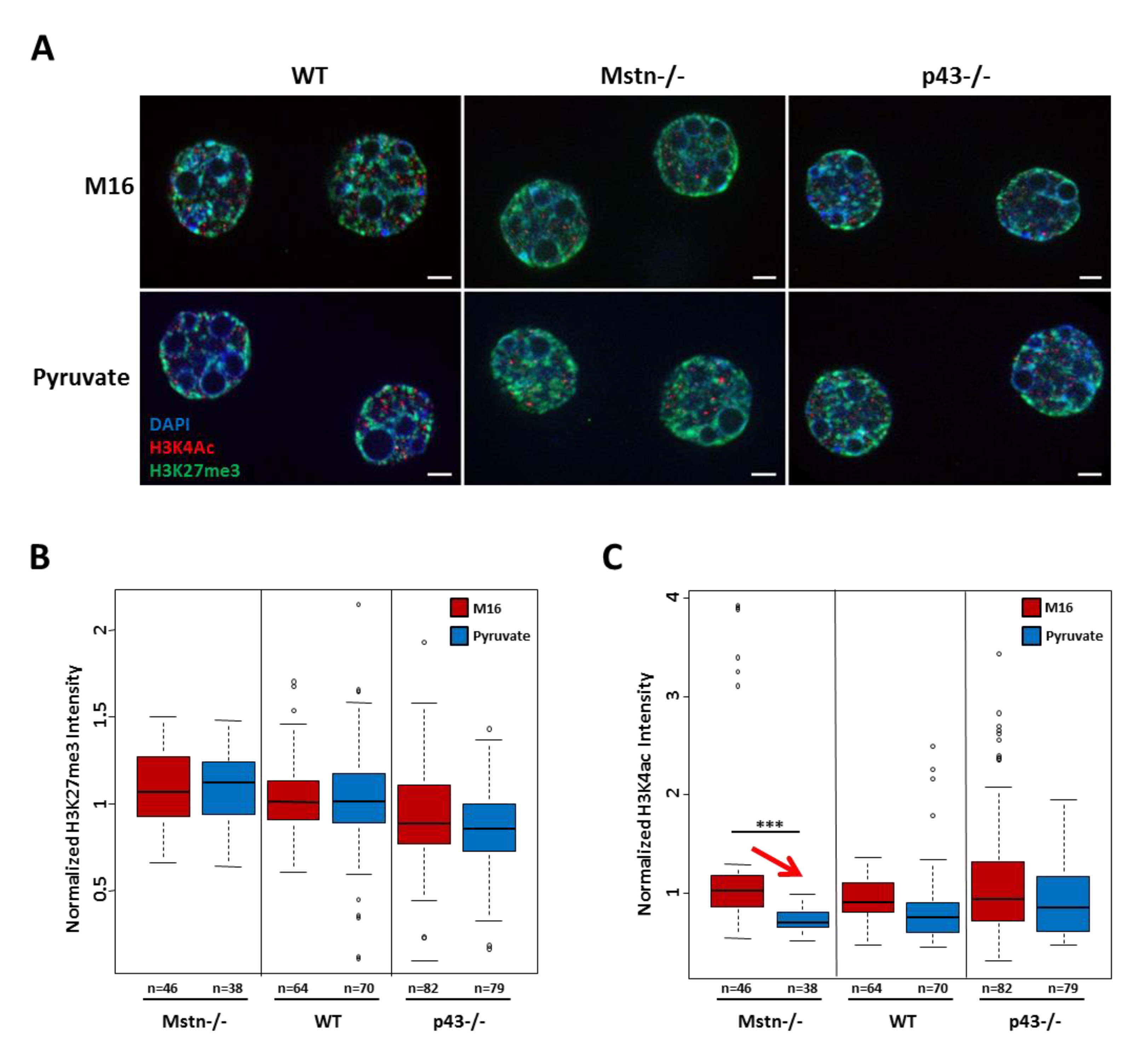 Ijms 21 07203 g007 Ijms 21 07203 g007