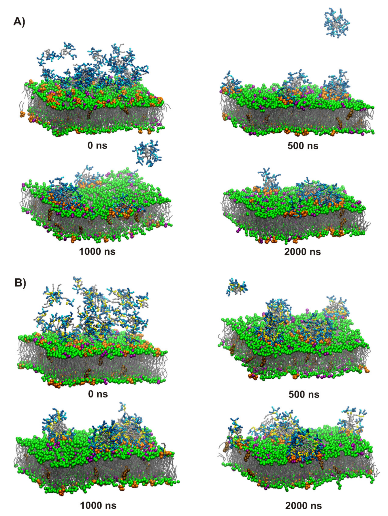 Ijms 21 07208 g007 Ijms 21 07208 g007