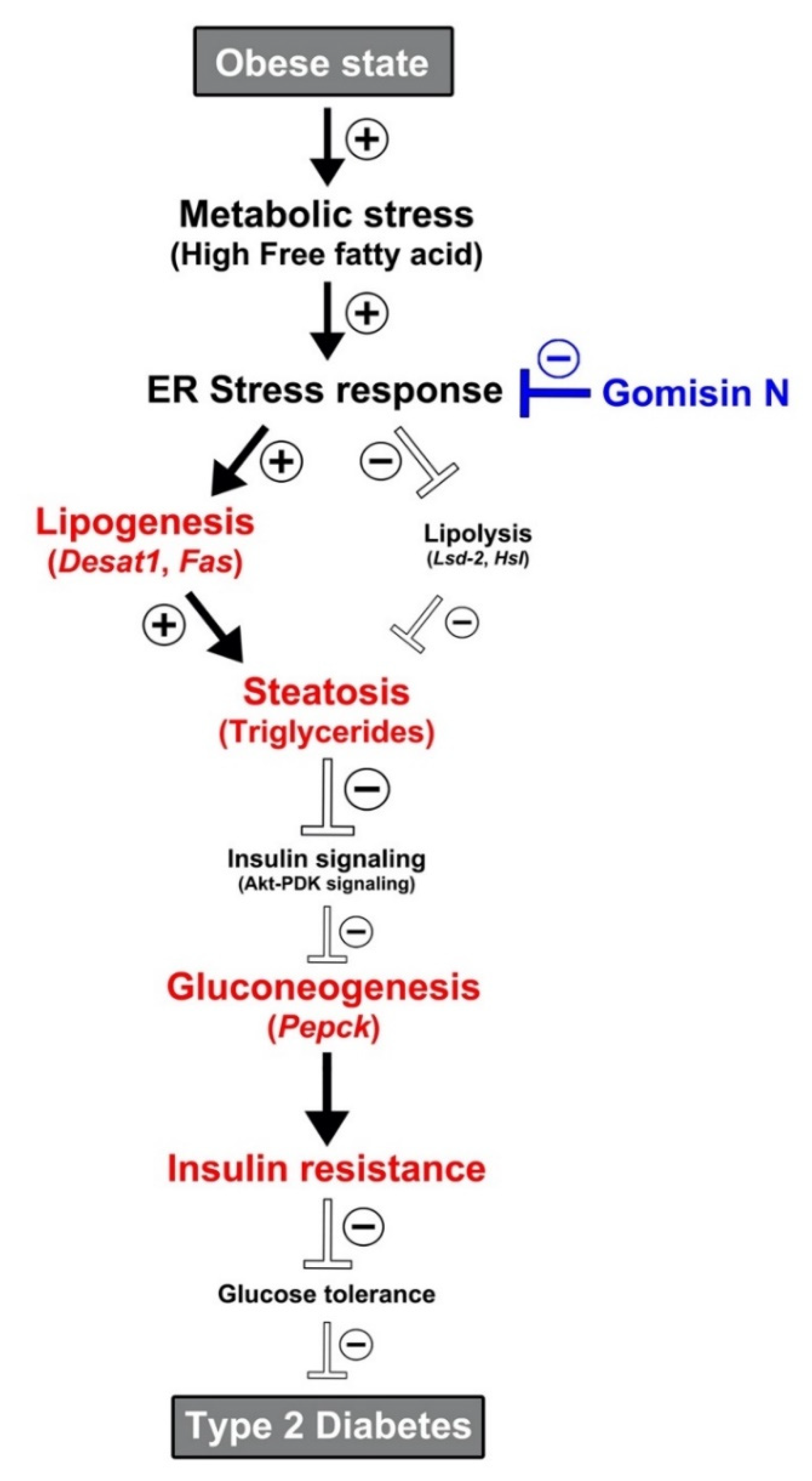 Ijms 21 07209 g005 Ijms 21 07209 g005