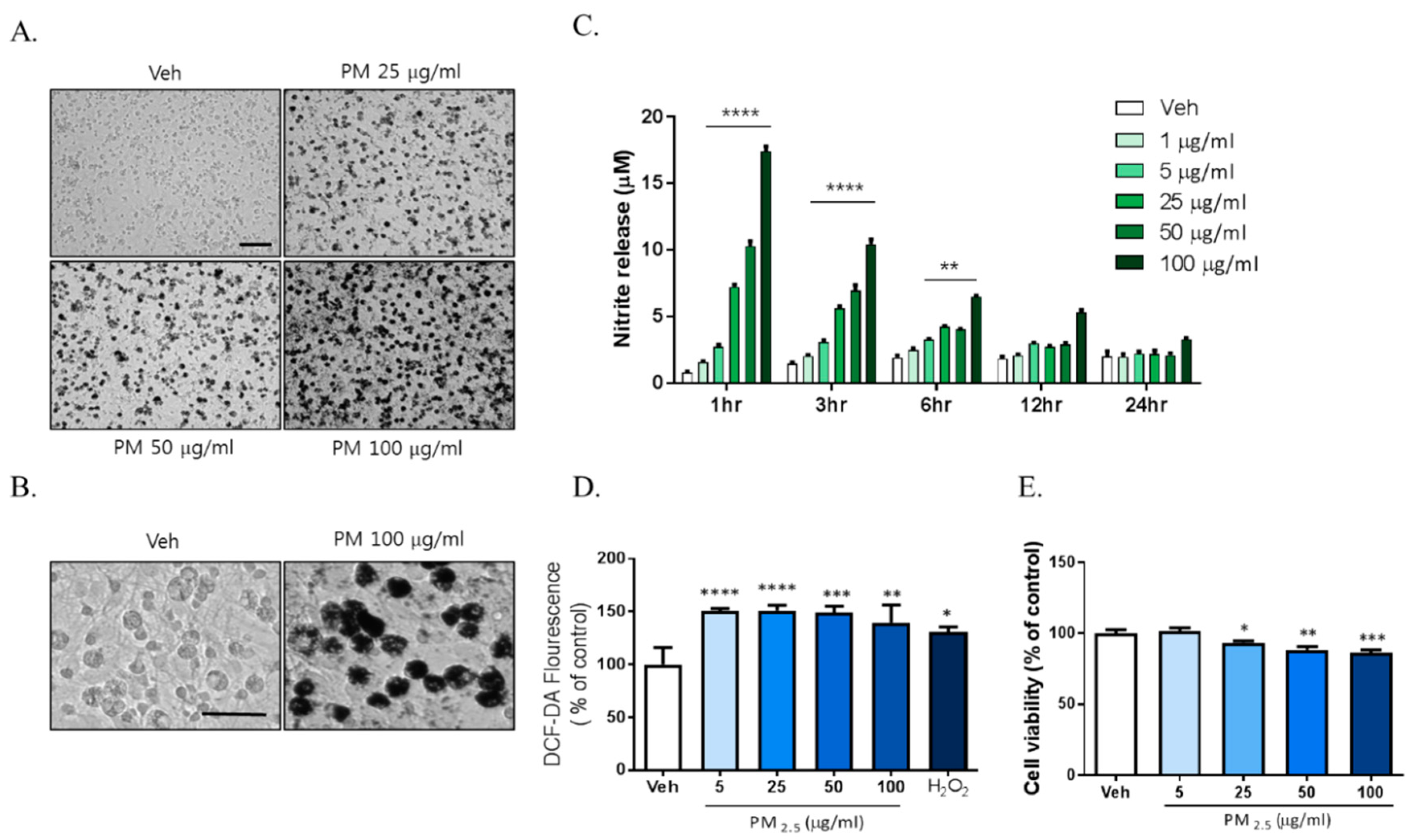 Ijms 21 07227 g001 Ijms 21 07227 g001