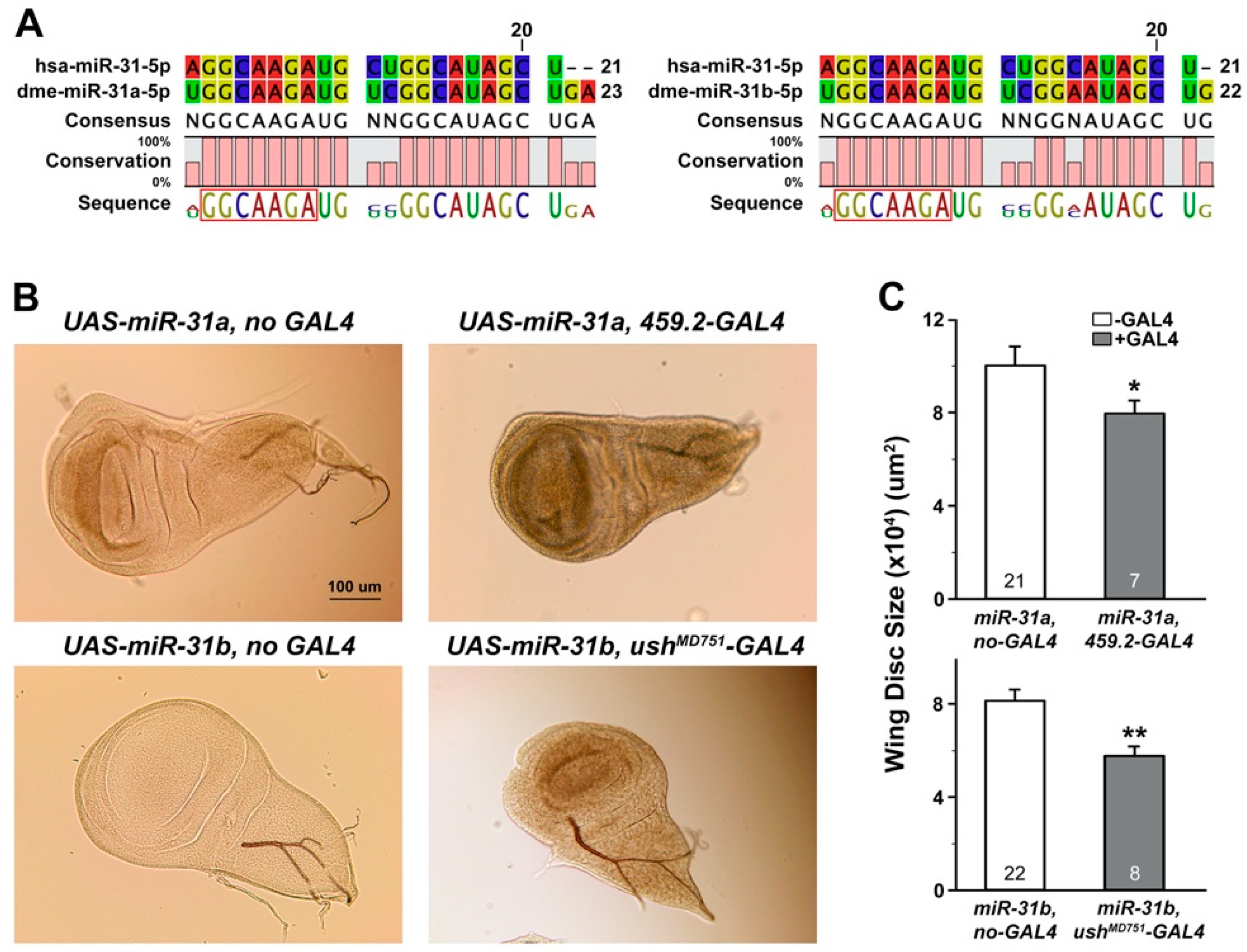 Ijms 21 07232 g002 Ijms 21 07232 g002