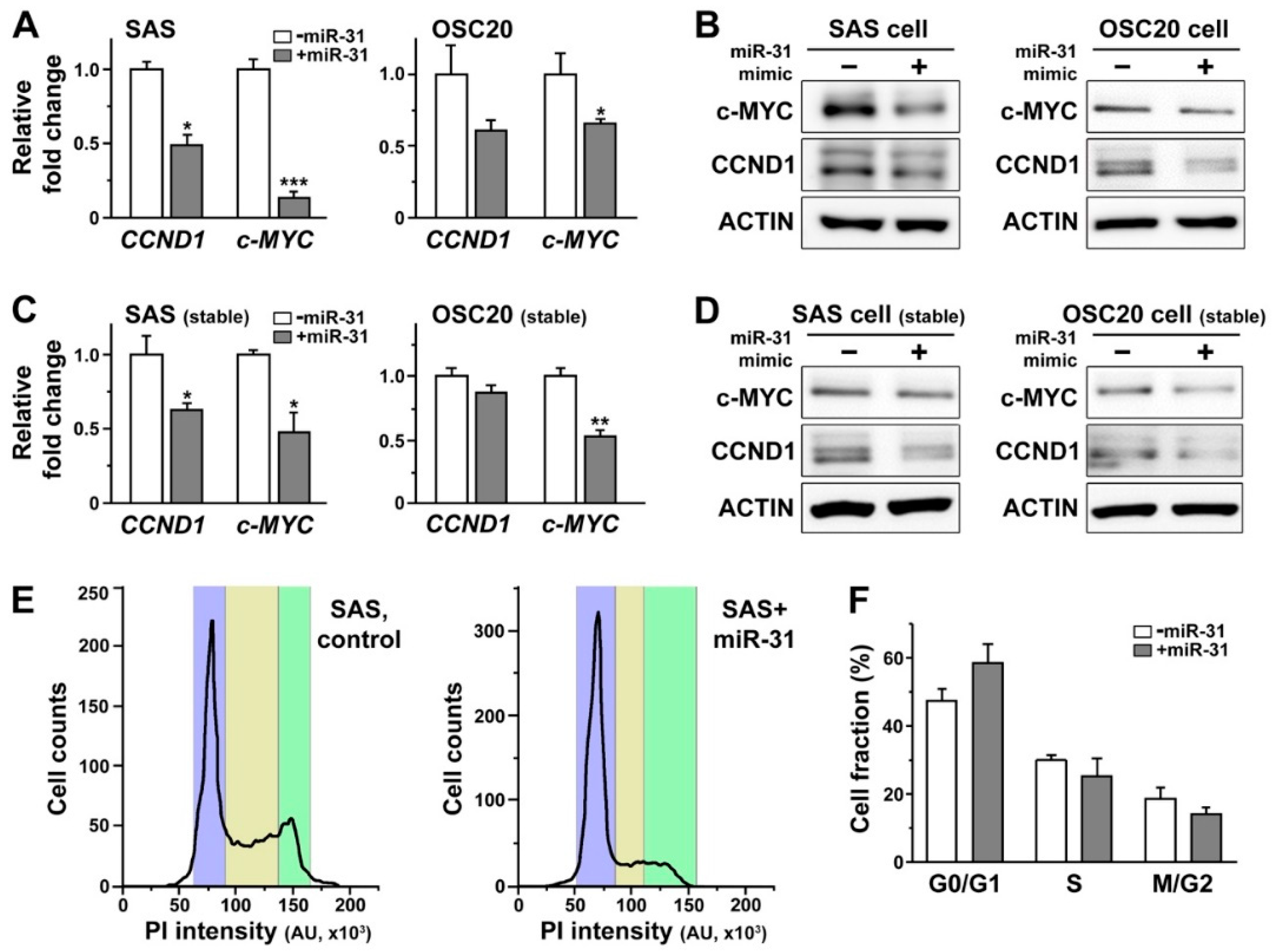 Ijms 21 07232 g005 Ijms 21 07232 g005