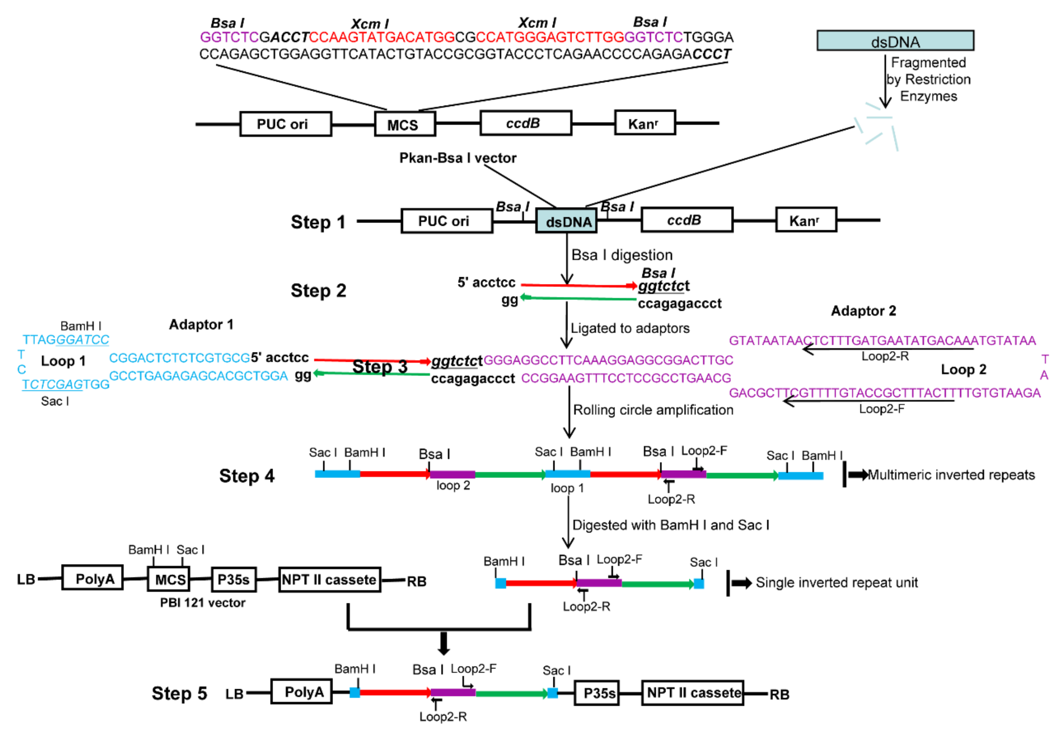 Ijms 21 07243 g001 Ijms 21 07243 g001