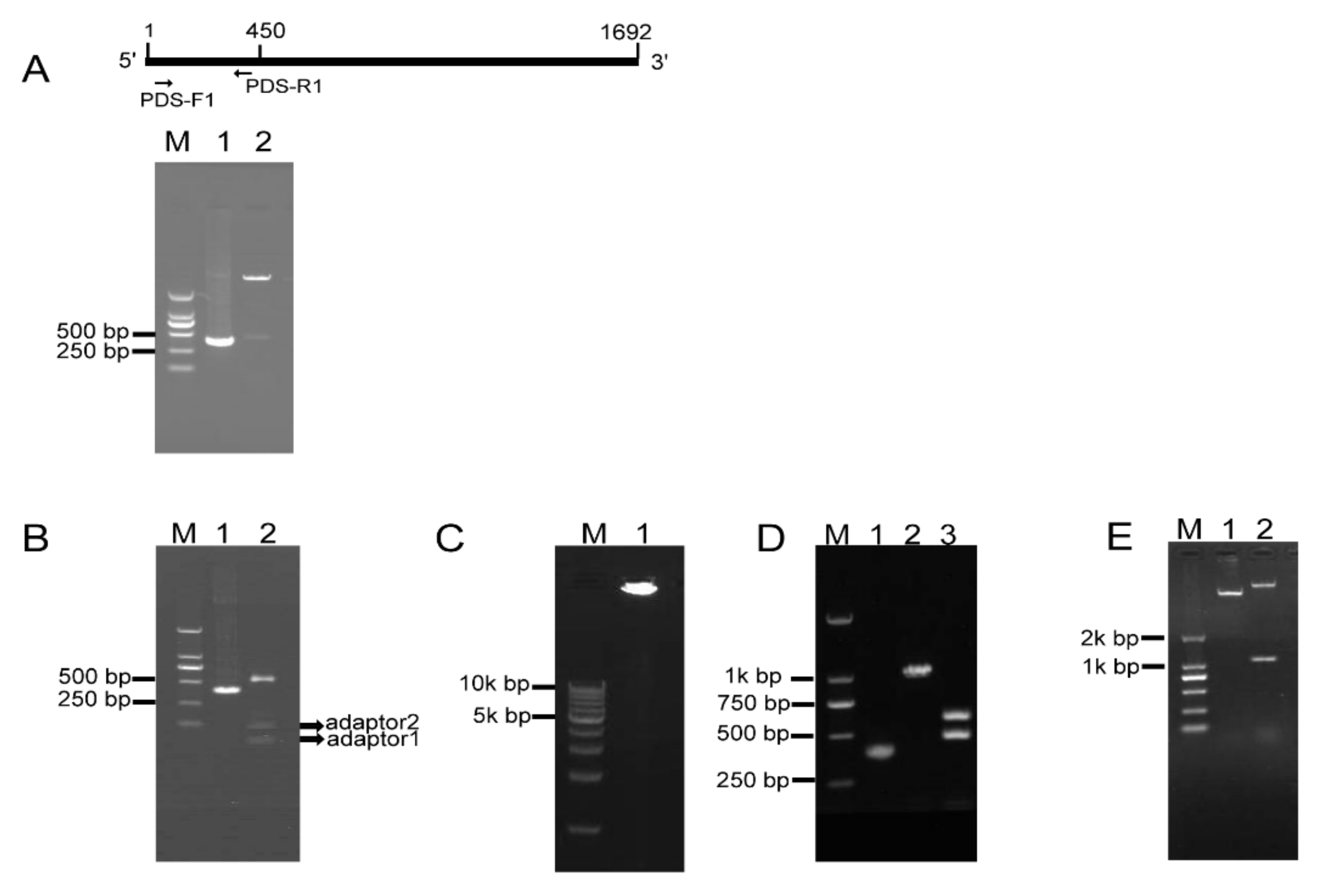 Ijms 21 07243 g002 Ijms 21 07243 g002