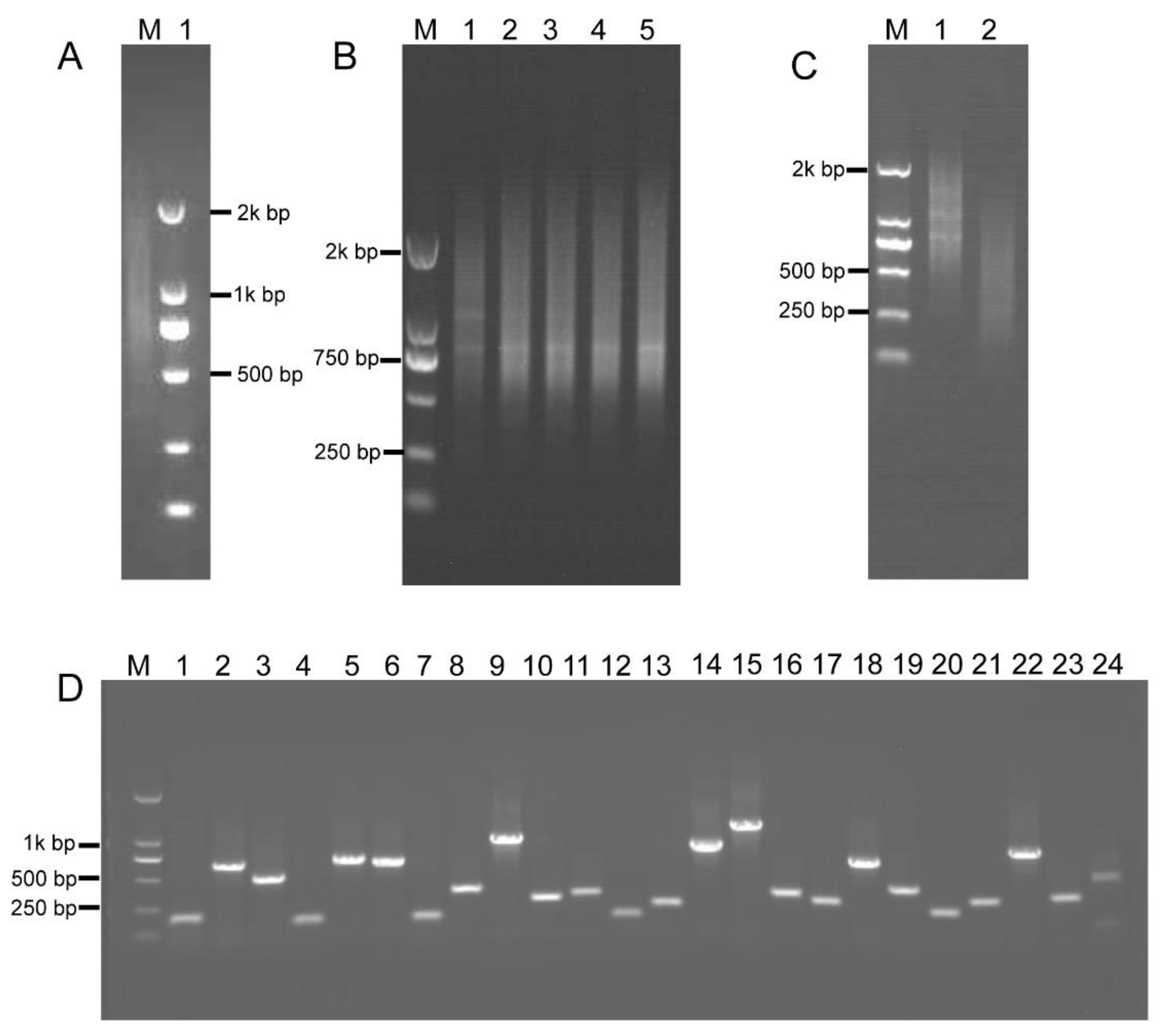 Ijms 21 07243 g004 Ijms 21 07243 g004