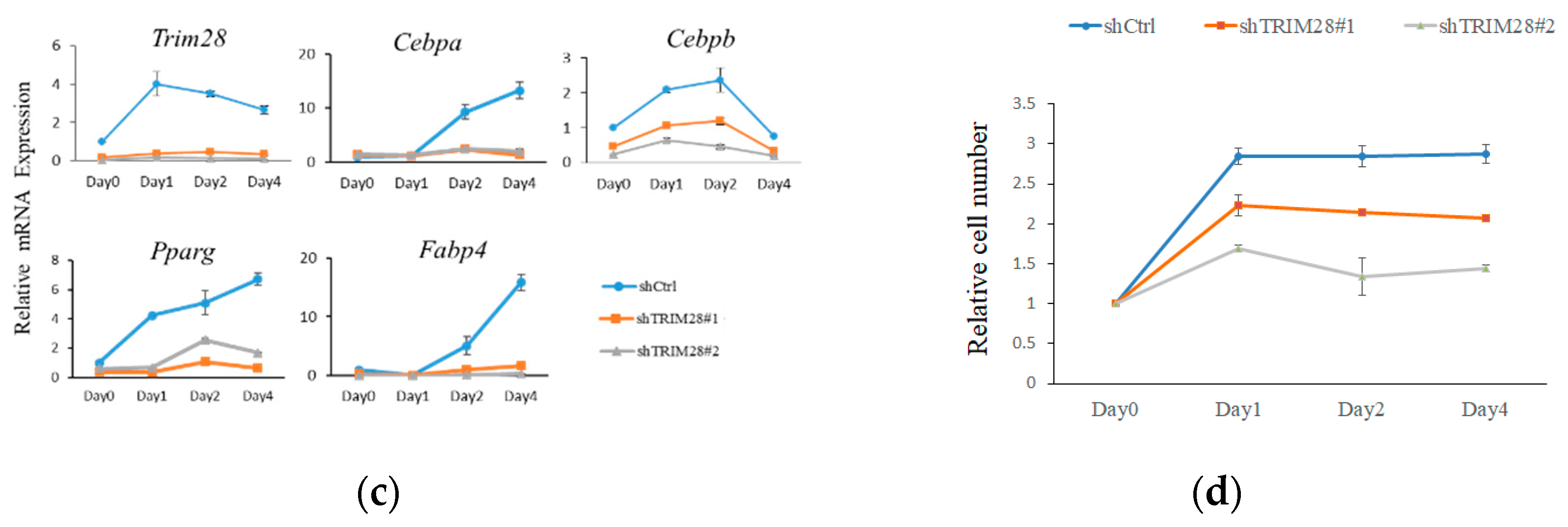 Ijms 21 07245 g001b Ijms 21 07245 g001b