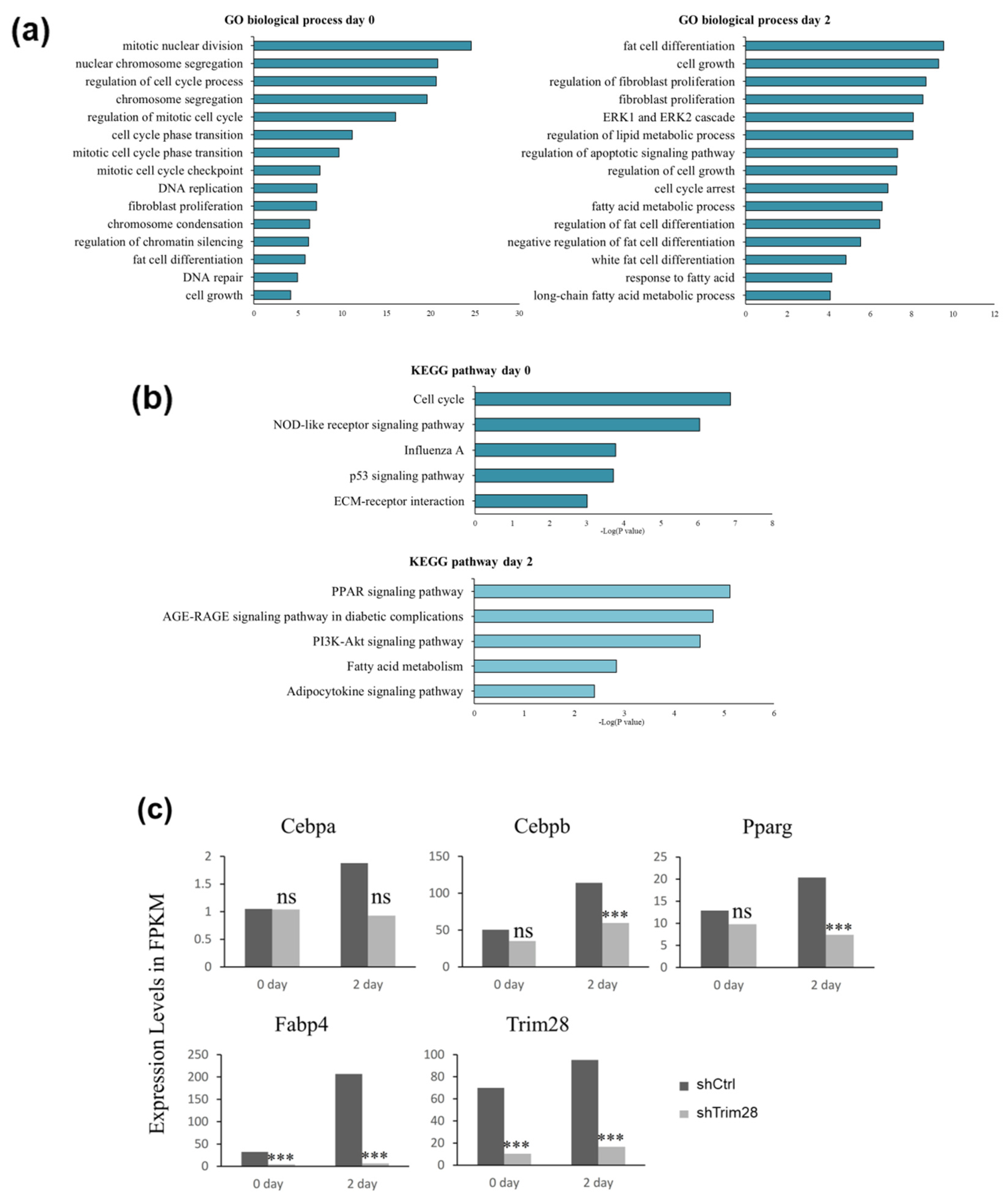 Ijms 21 07245 g002 Ijms 21 07245 g002