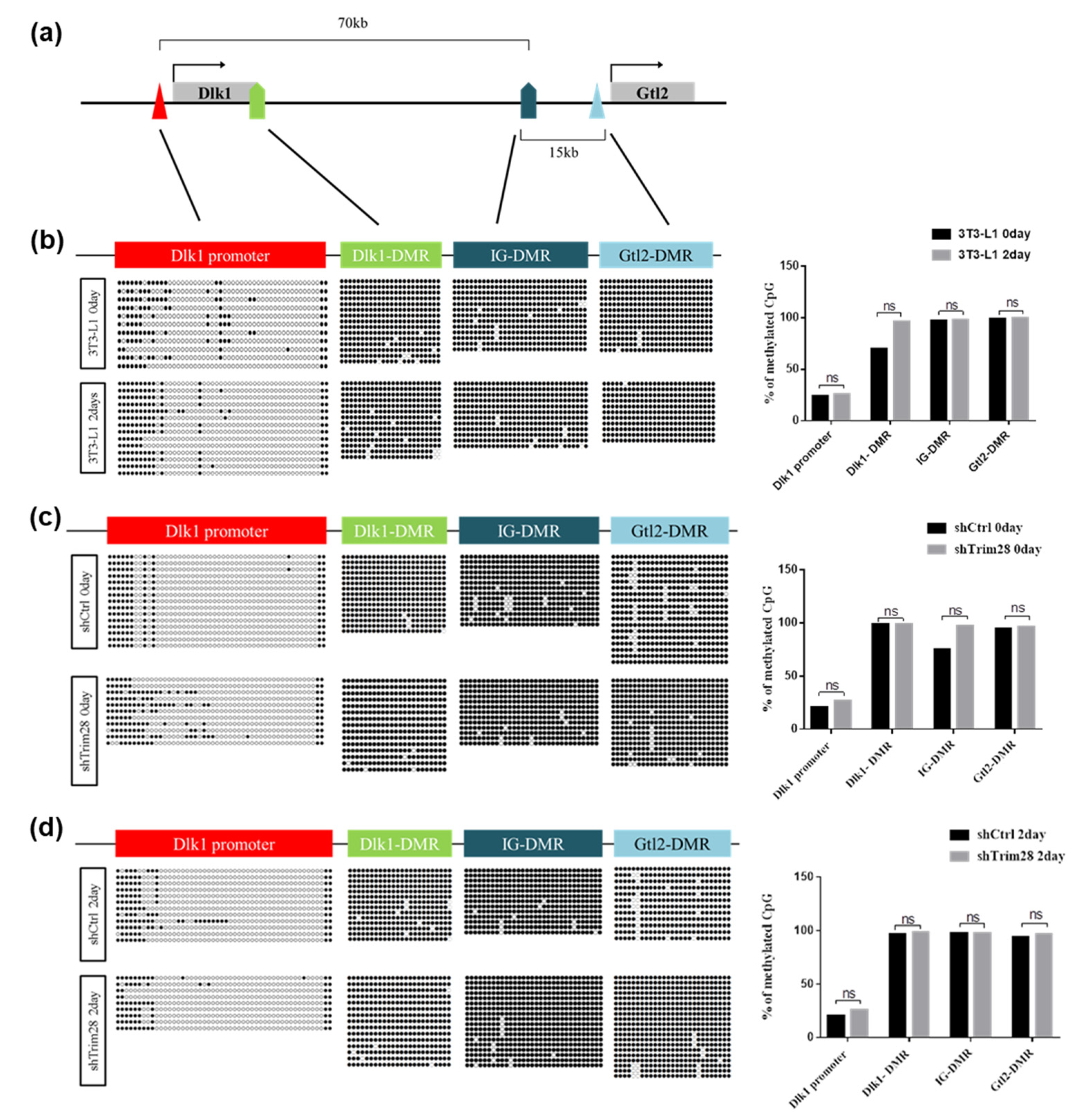Ijms 21 07245 g005 Ijms 21 07245 g005