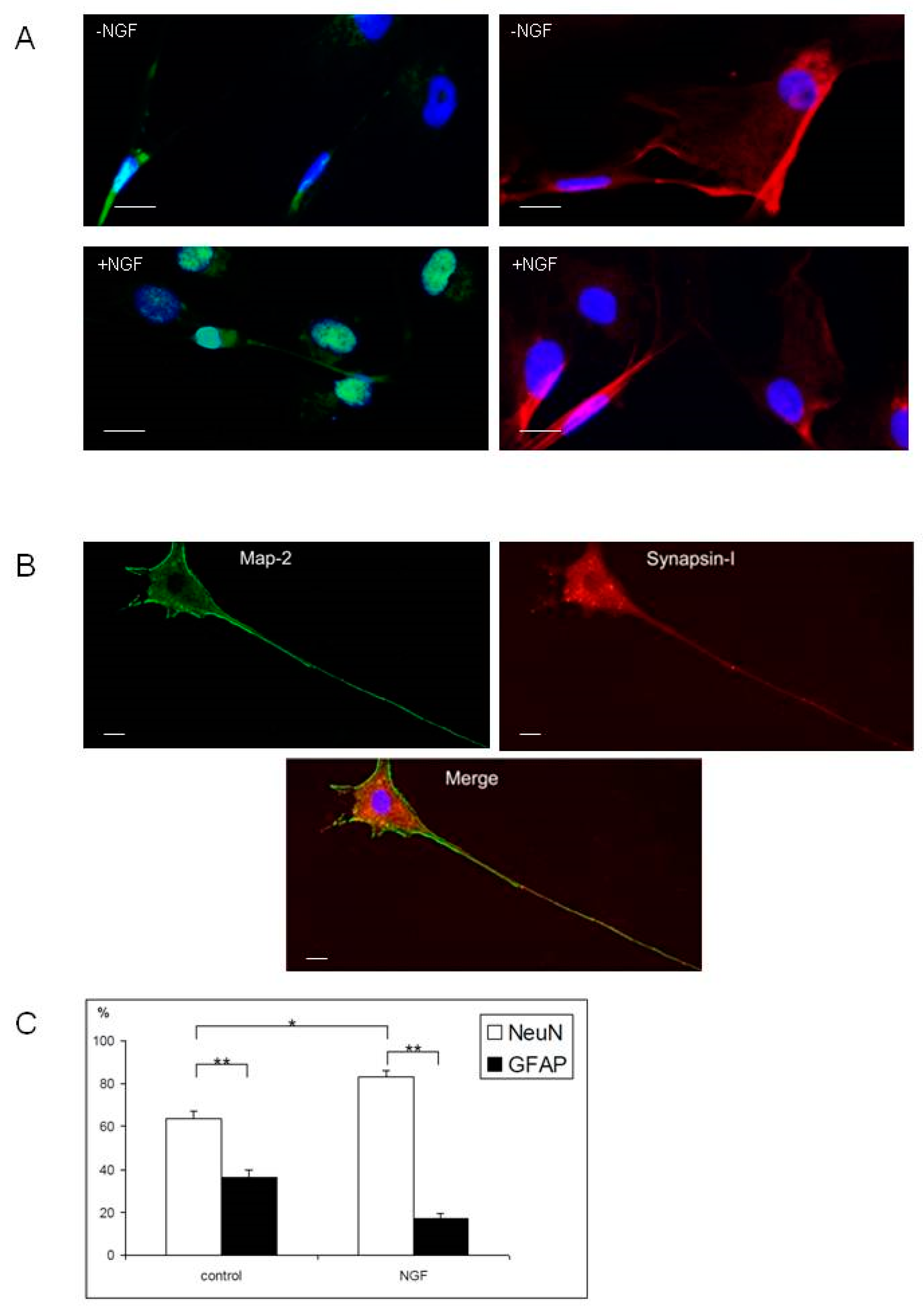 Ijms 21 07249 g004 Ijms 21 07249 g004