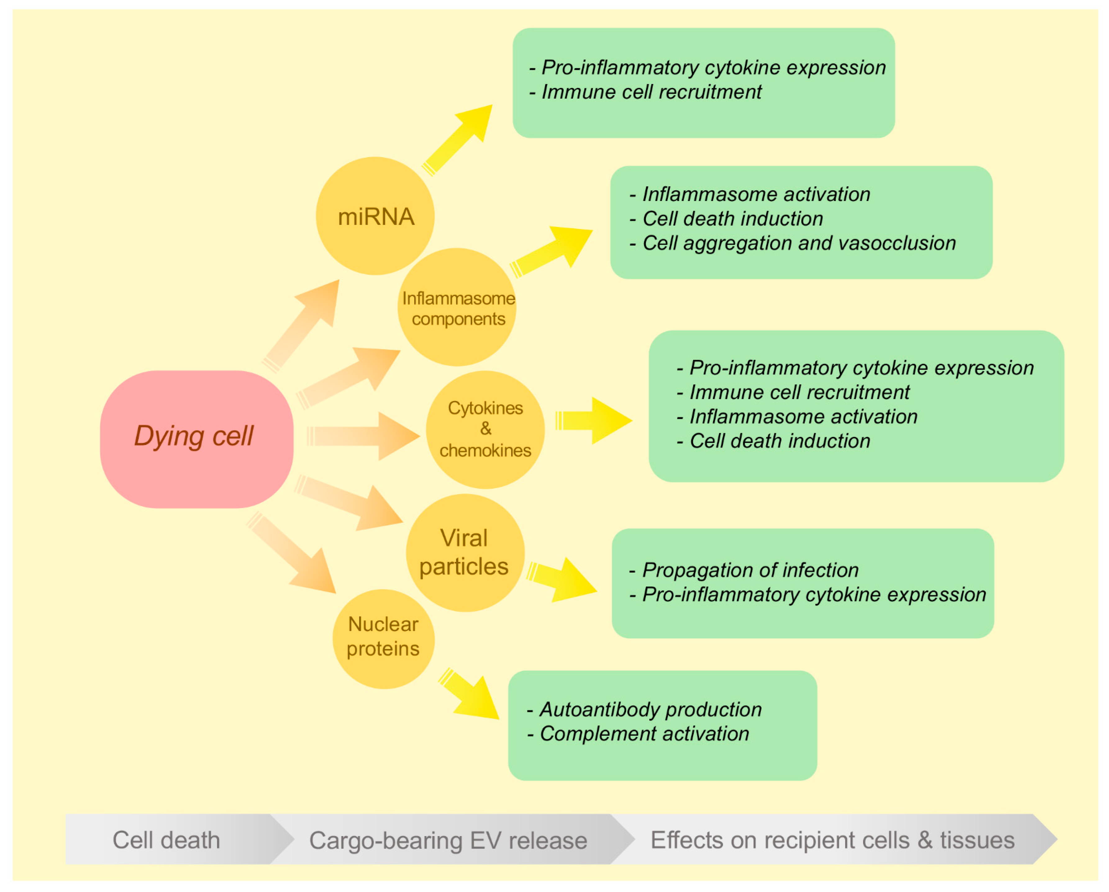 Ijms 21 07256 g002 Ijms 21 07256 g002