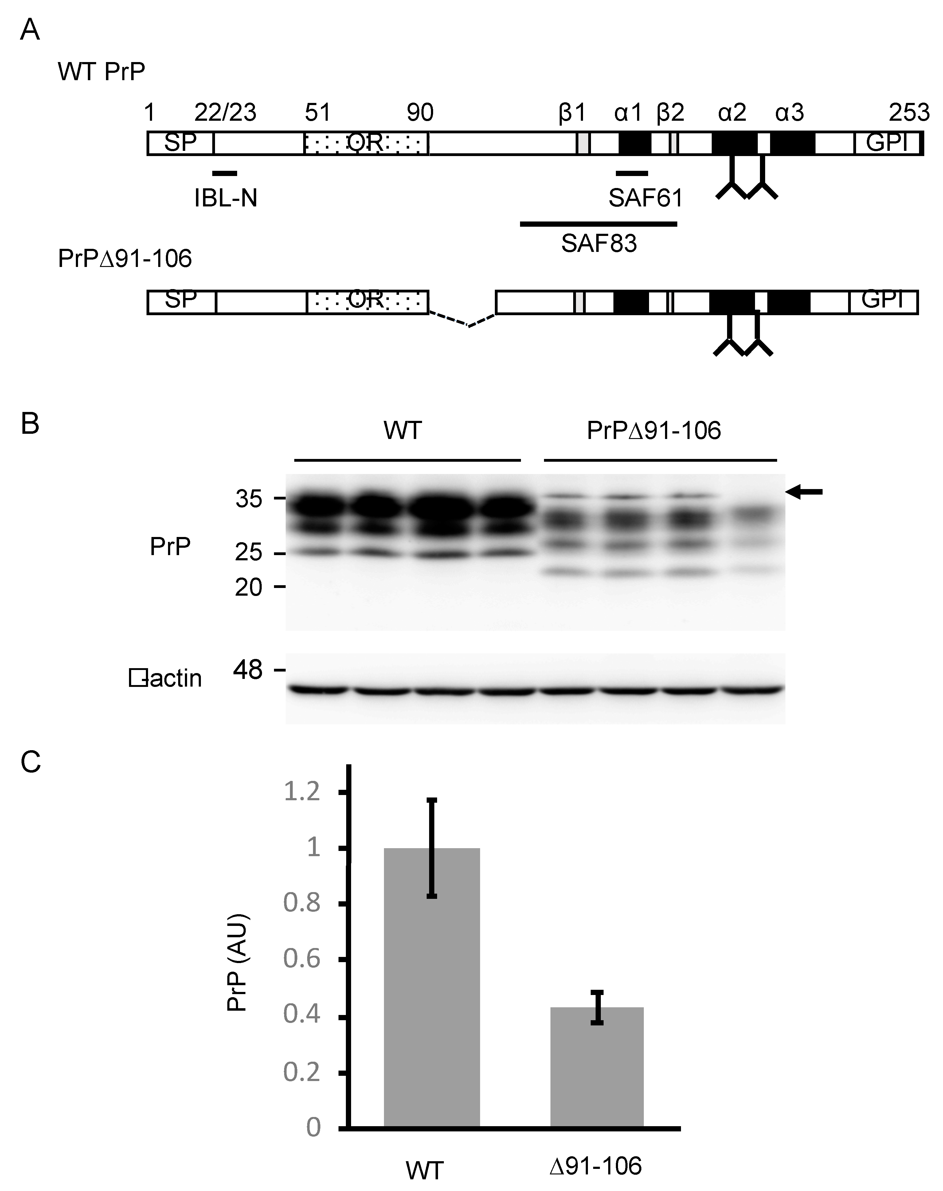 Ijms 21 07260 g001 Ijms 21 07260 g001