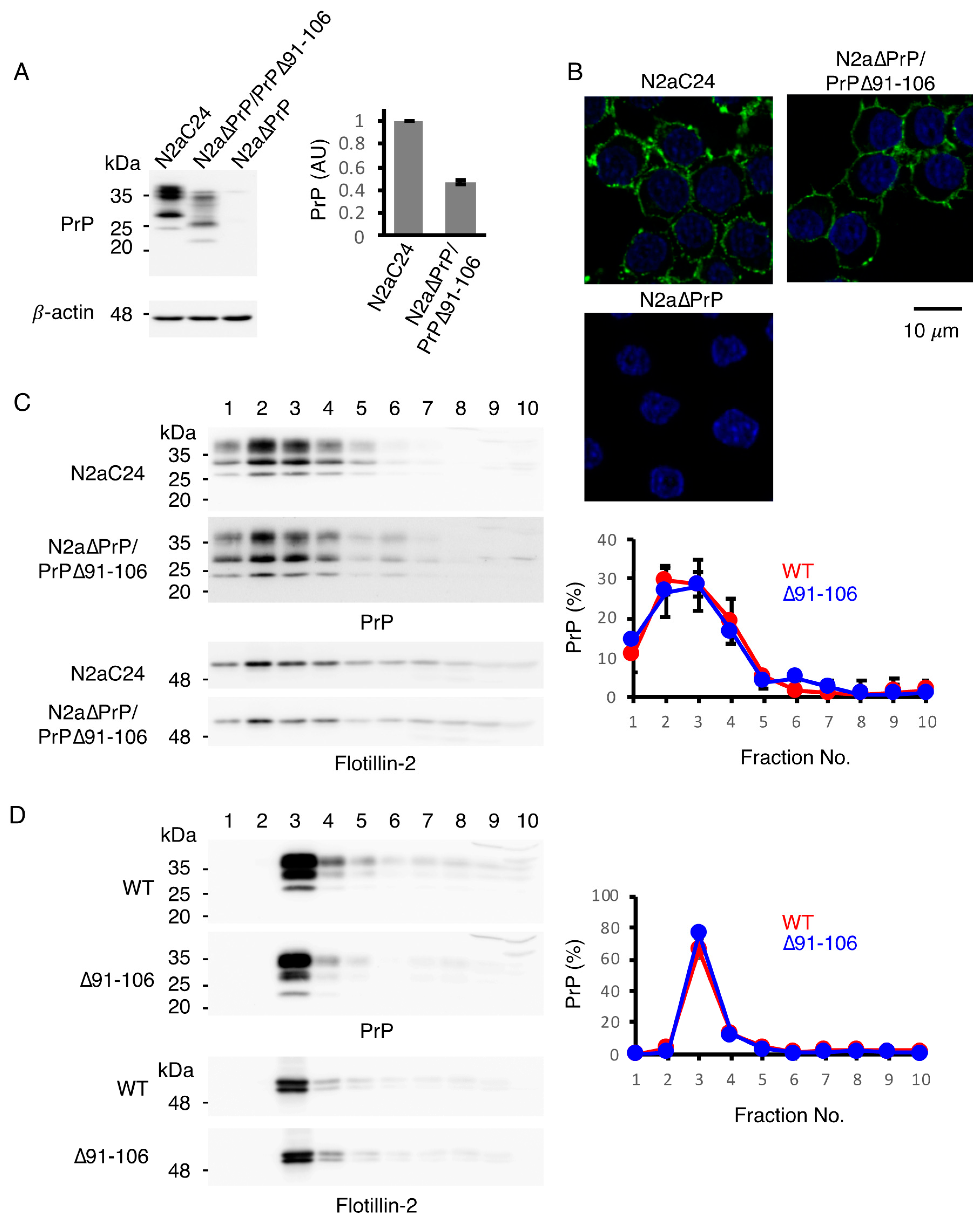 Ijms 21 07260 g002 Ijms 21 07260 g002
