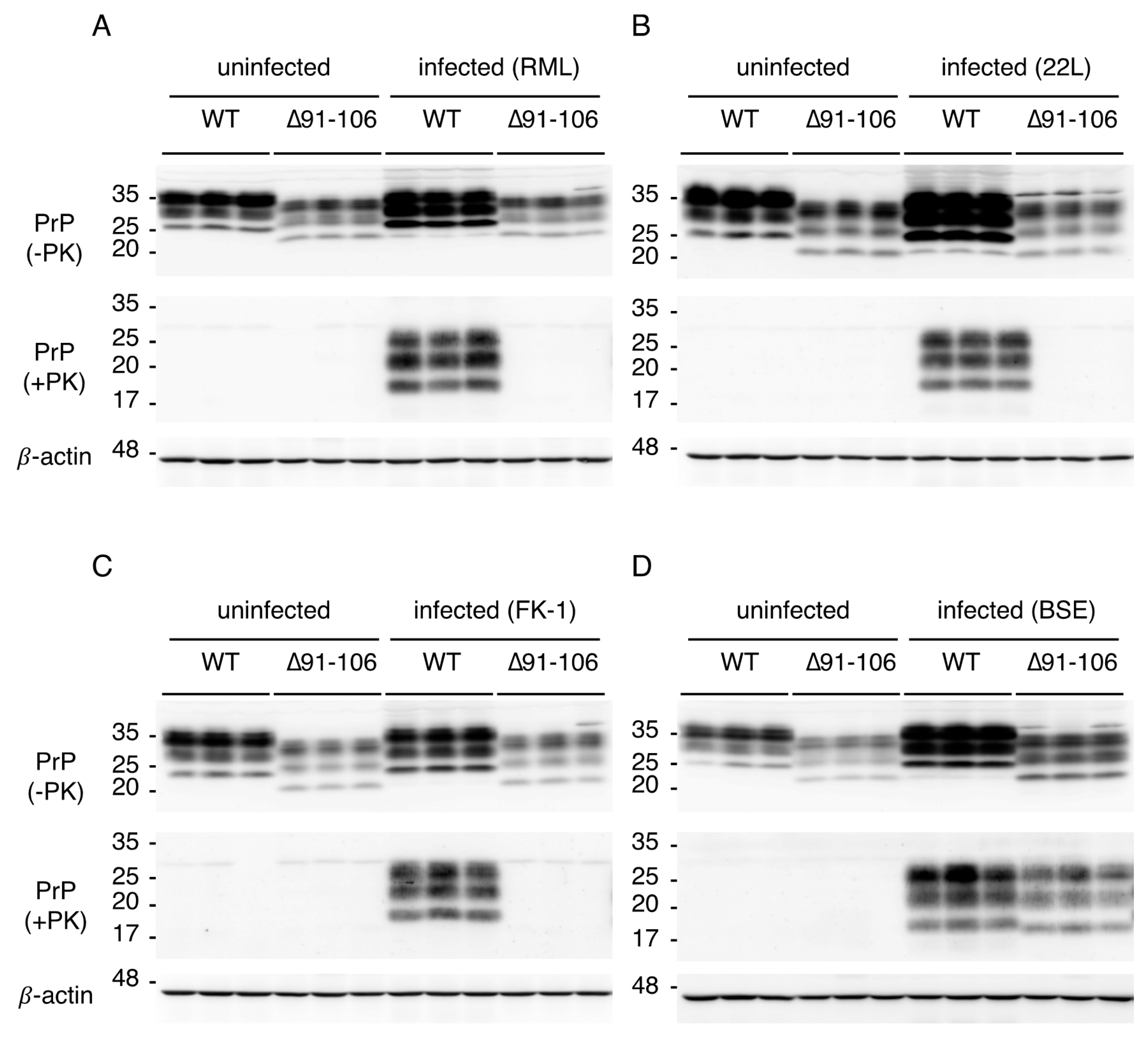 Ijms 21 07260 g003 Ijms 21 07260 g003