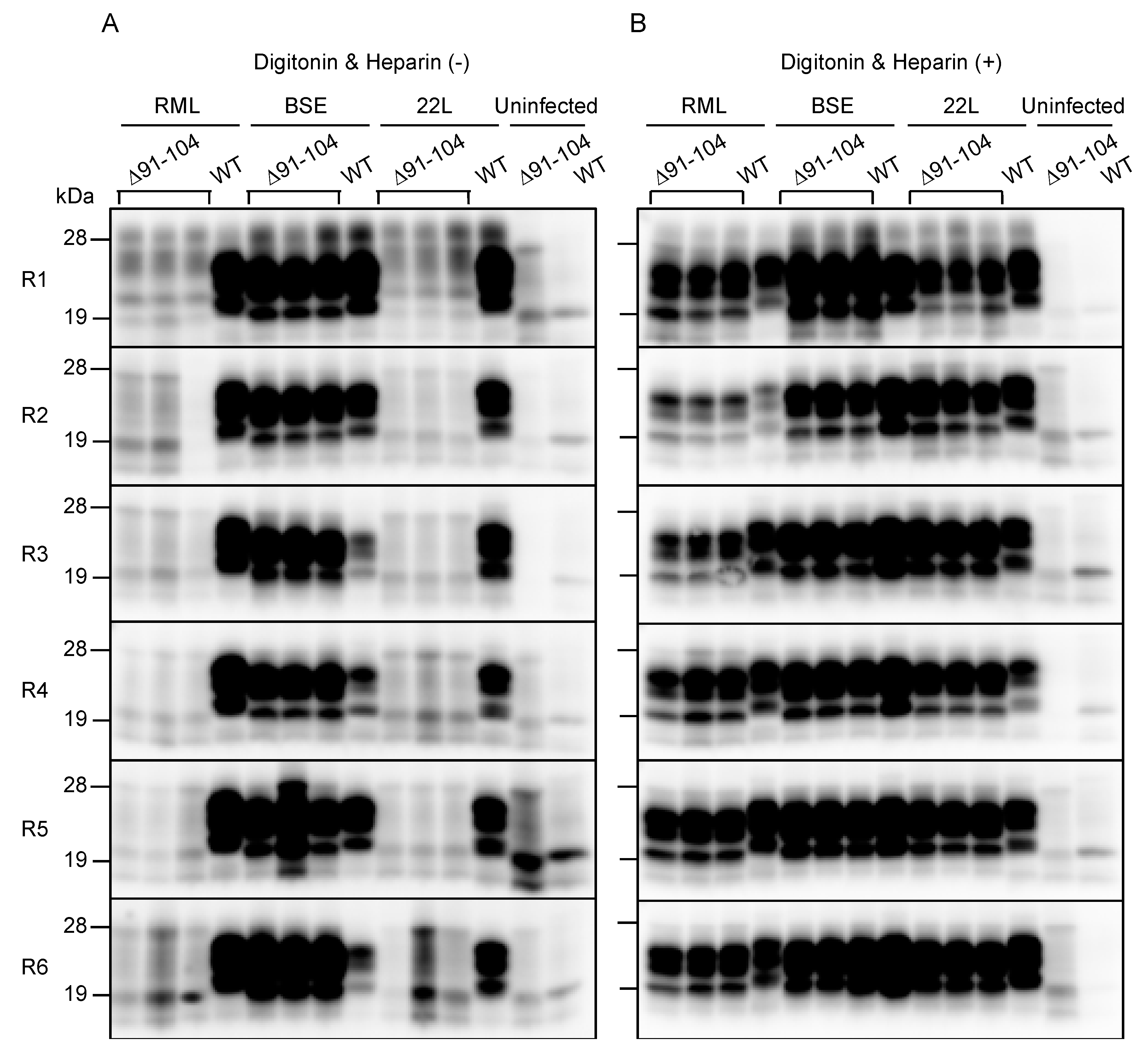 Ijms 21 07260 g005 Ijms 21 07260 g005