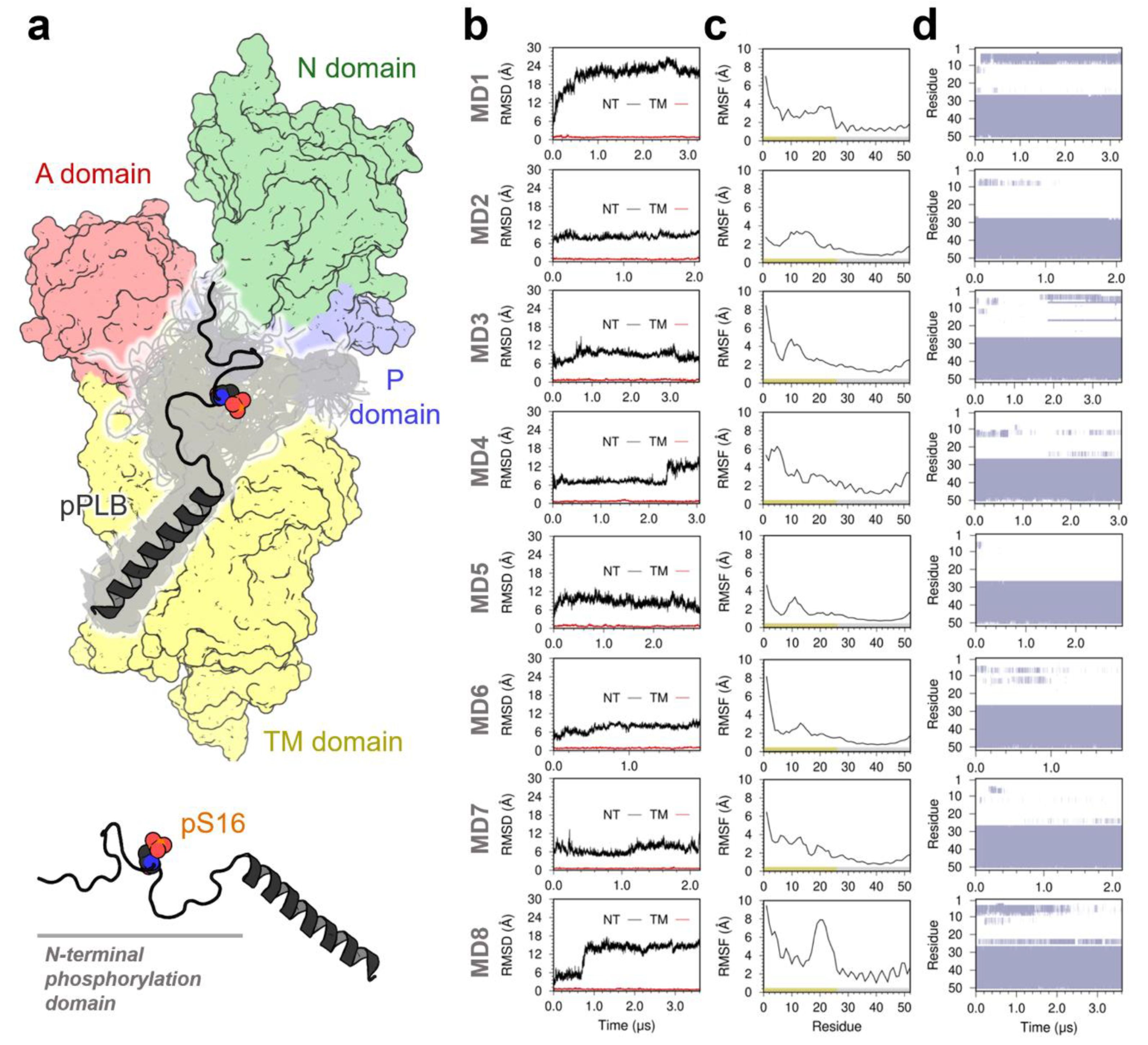 Ijms 21 07261 g001 Ijms 21 07261 g001