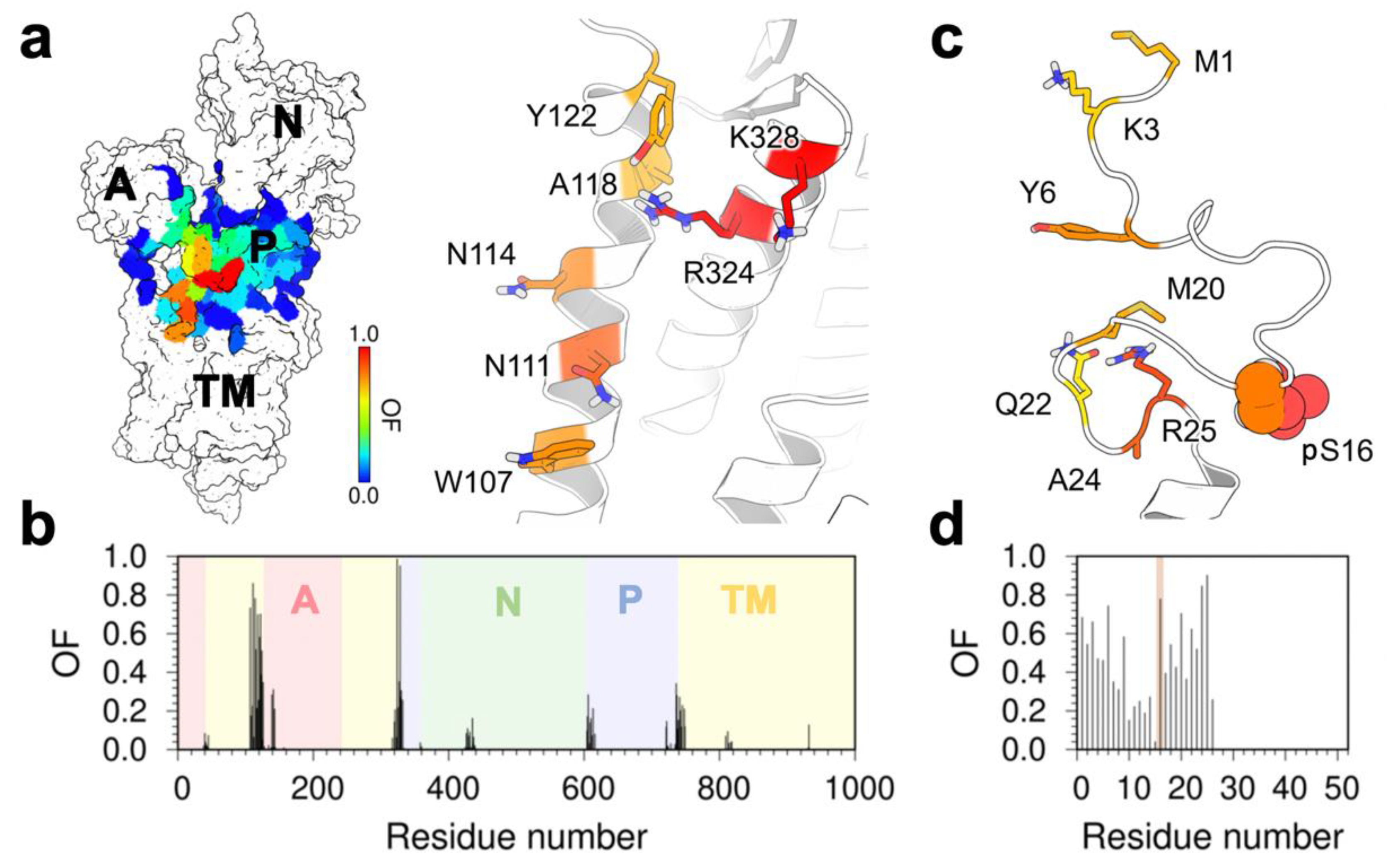 Ijms 21 07261 g003 Ijms 21 07261 g003