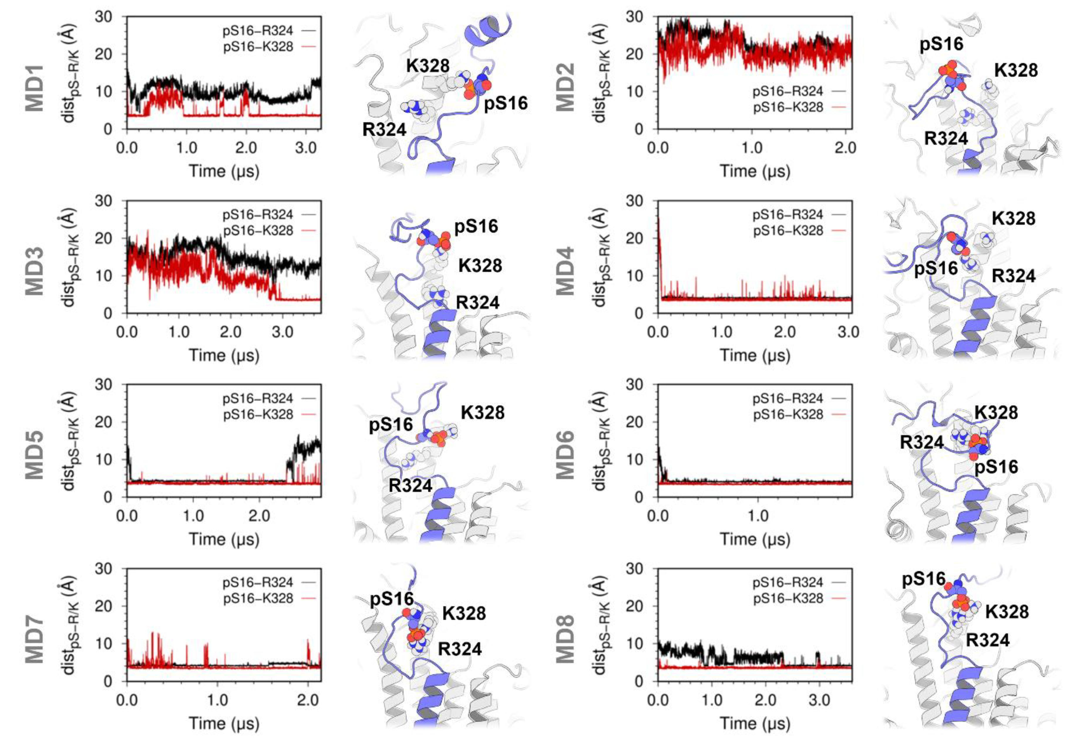 Ijms 21 07261 g004 Ijms 21 07261 g004