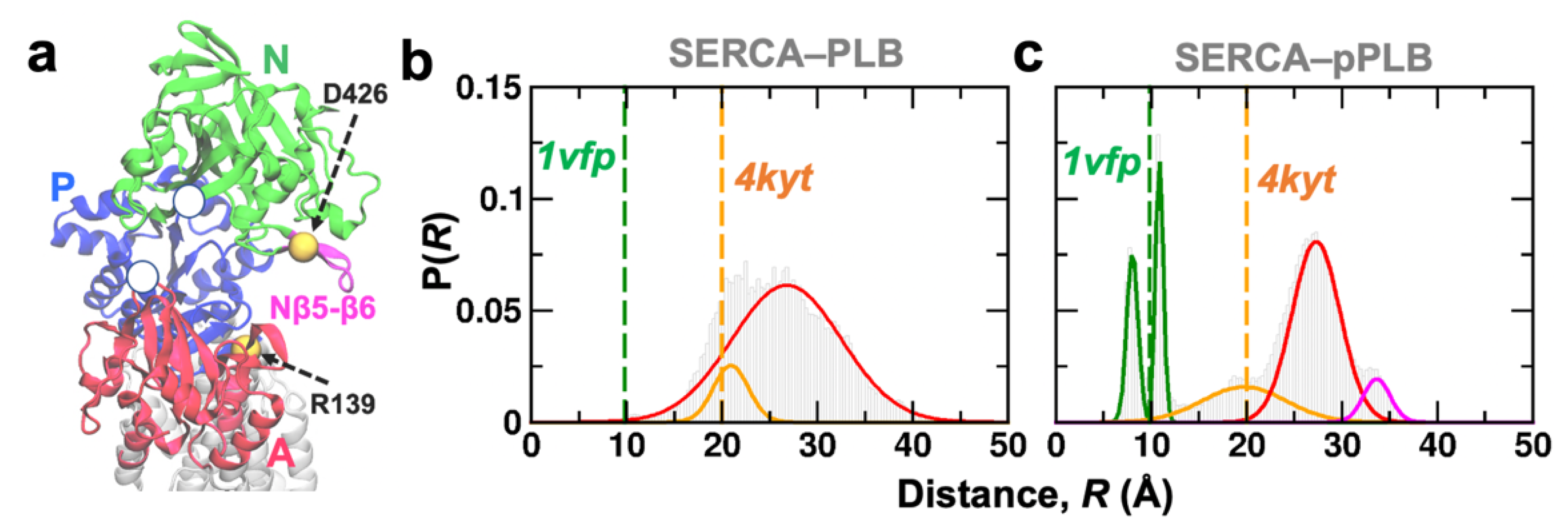 Ijms 21 07261 g006 Ijms 21 07261 g006