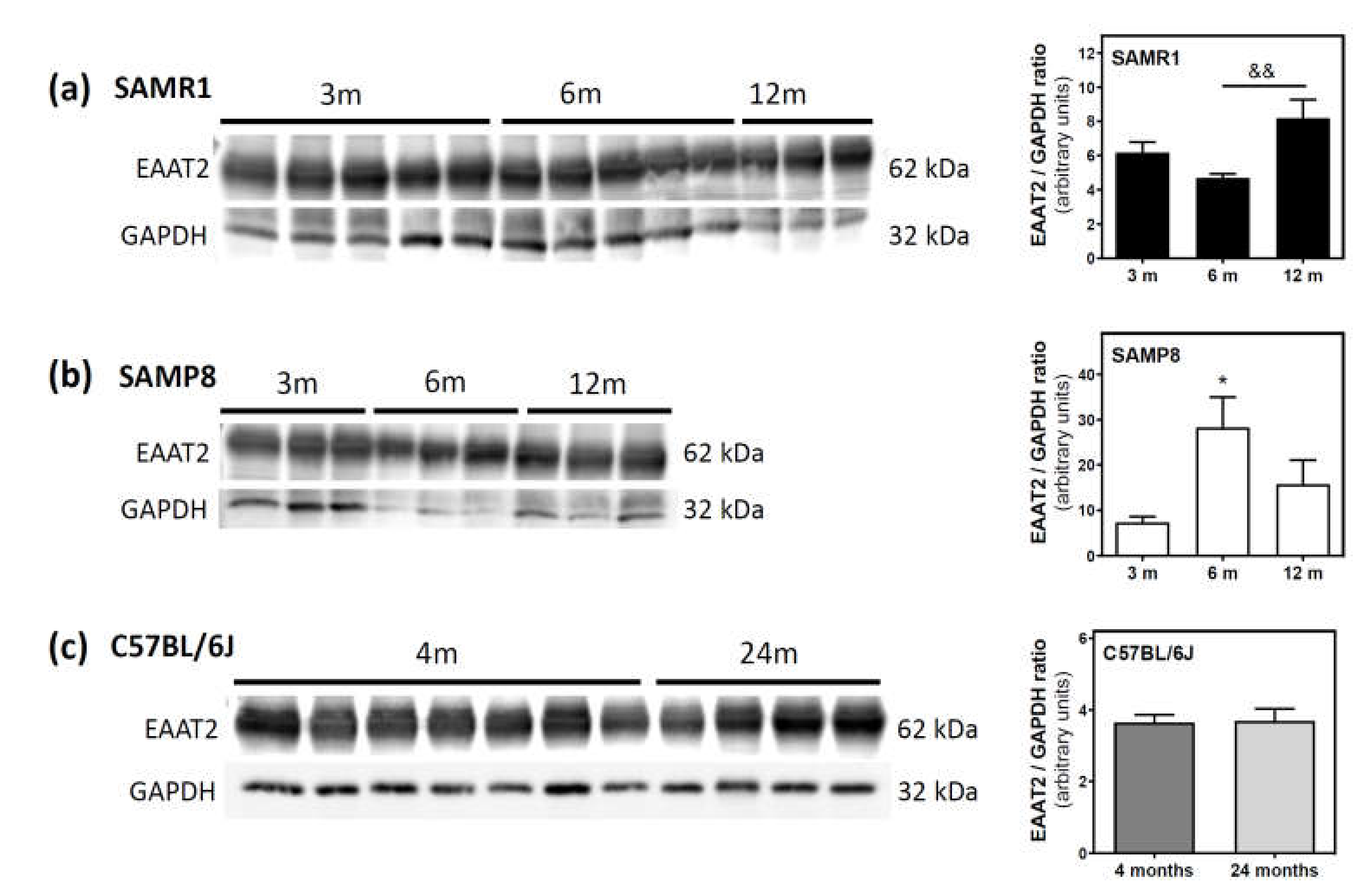 Ijms 21 07300 g009 Ijms 21 07300 g009