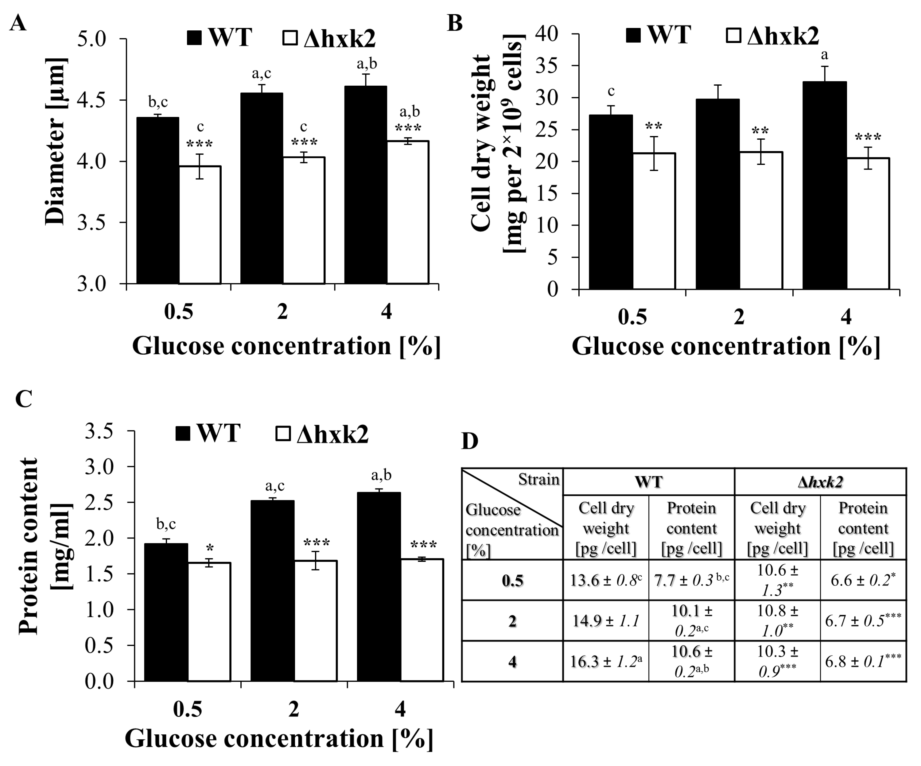 Ijms 21 07313 g005 Ijms 21 07313 g005