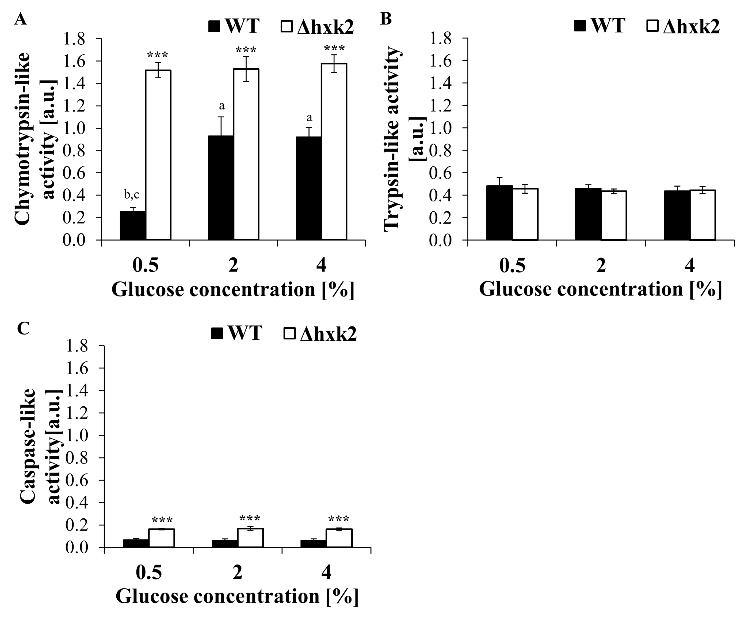 Ijms 21 07313 g007 Ijms 21 07313 g007