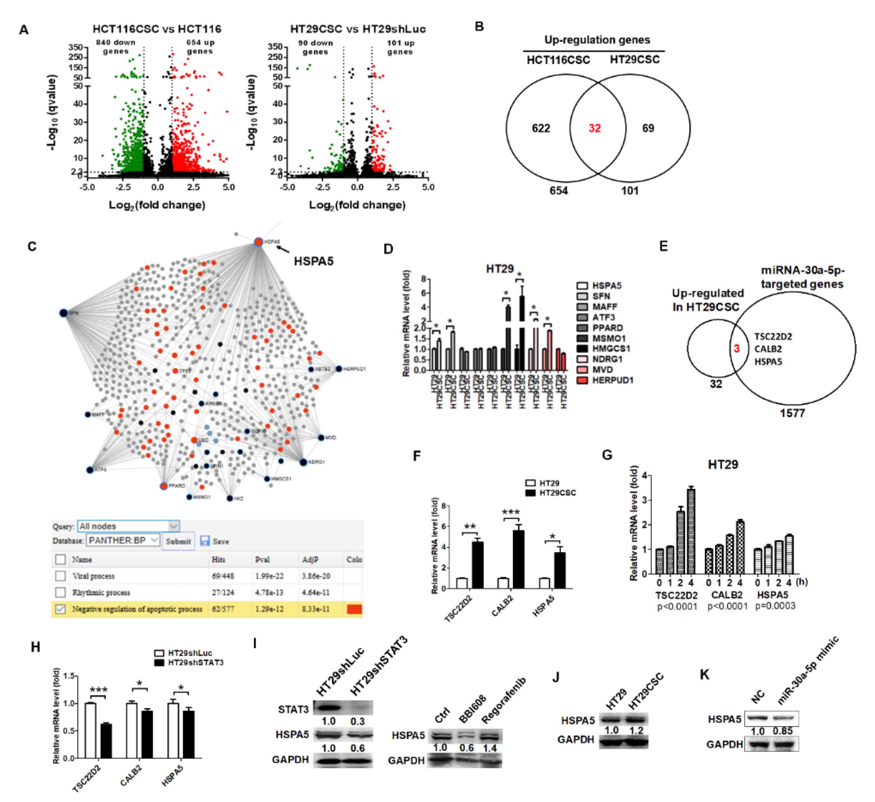Ijms 21 07315 g005 Ijms 21 07315 g005