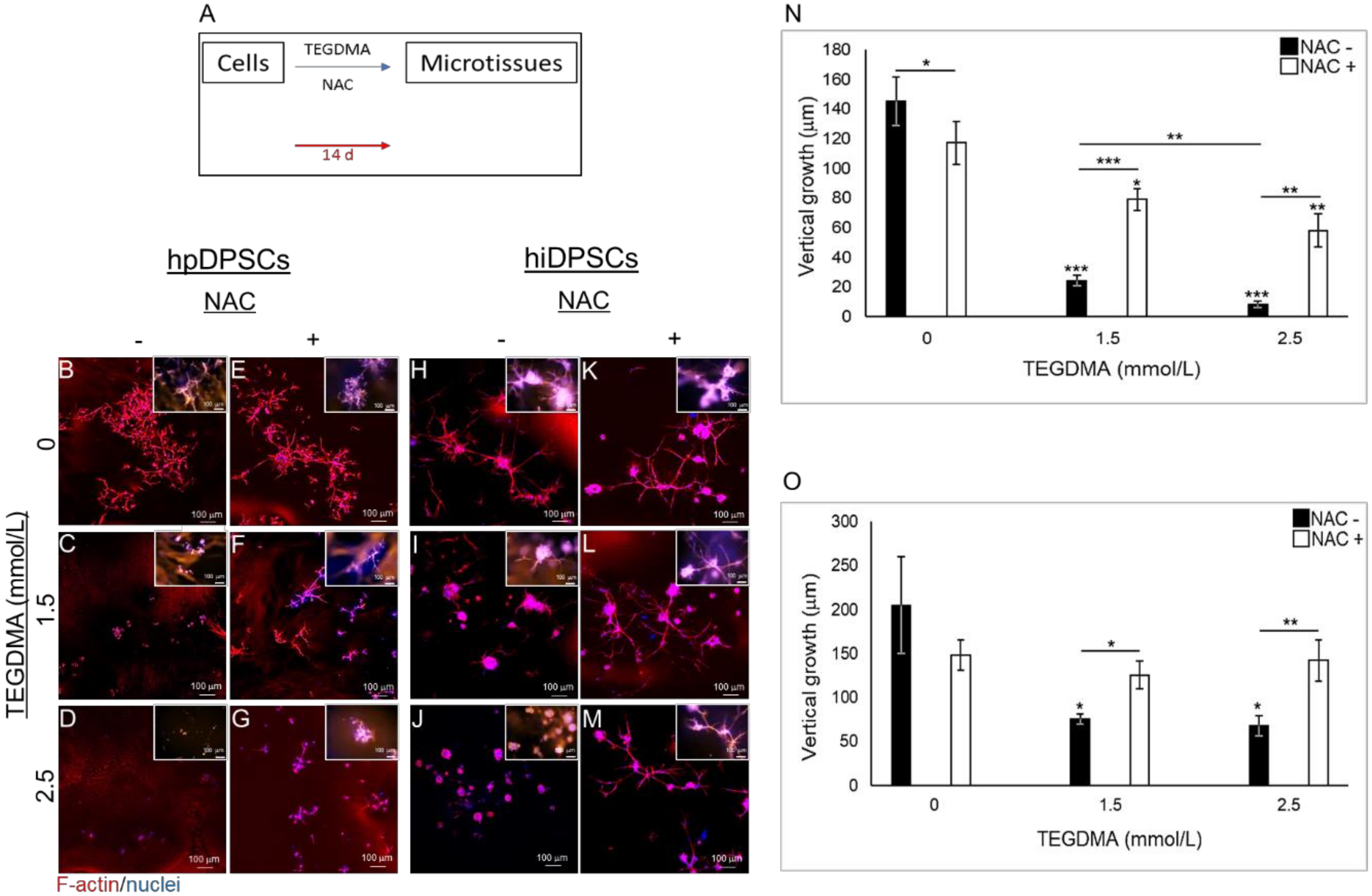 Ijms 21 07318 g002 Ijms 21 07318 g002