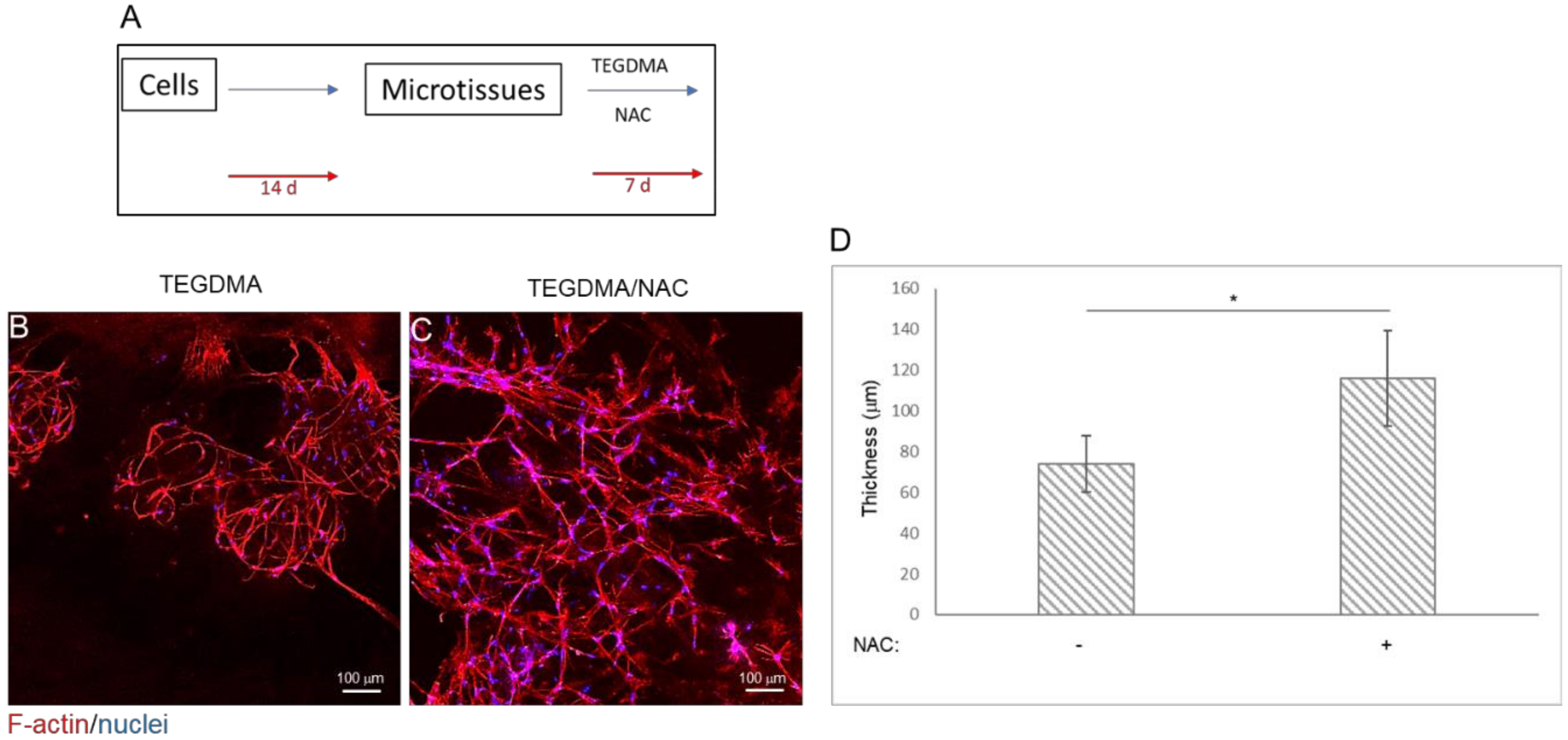 Ijms 21 07318 g004 Ijms 21 07318 g004