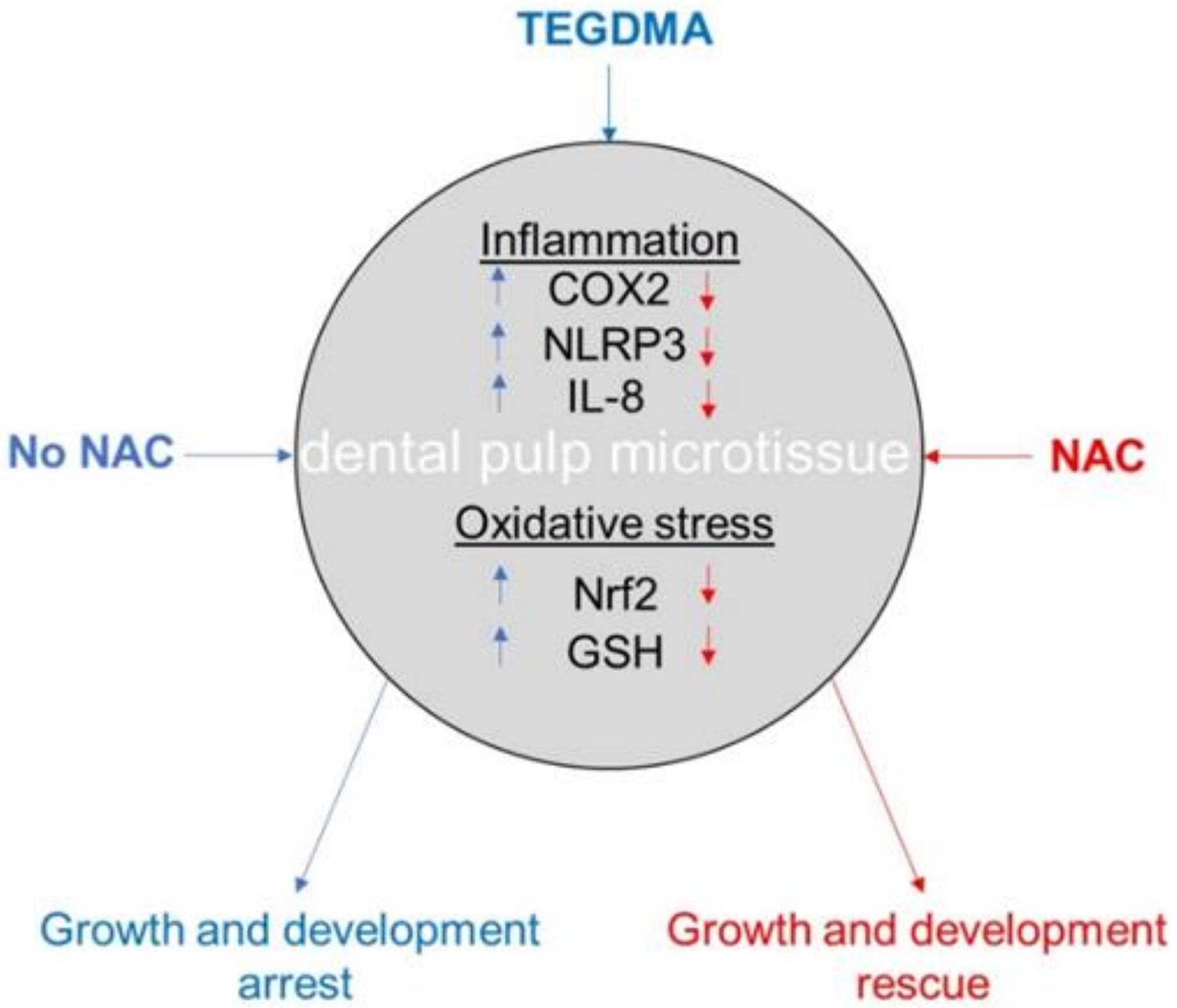 Ijms 21 07318 g007 Ijms 21 07318 g007