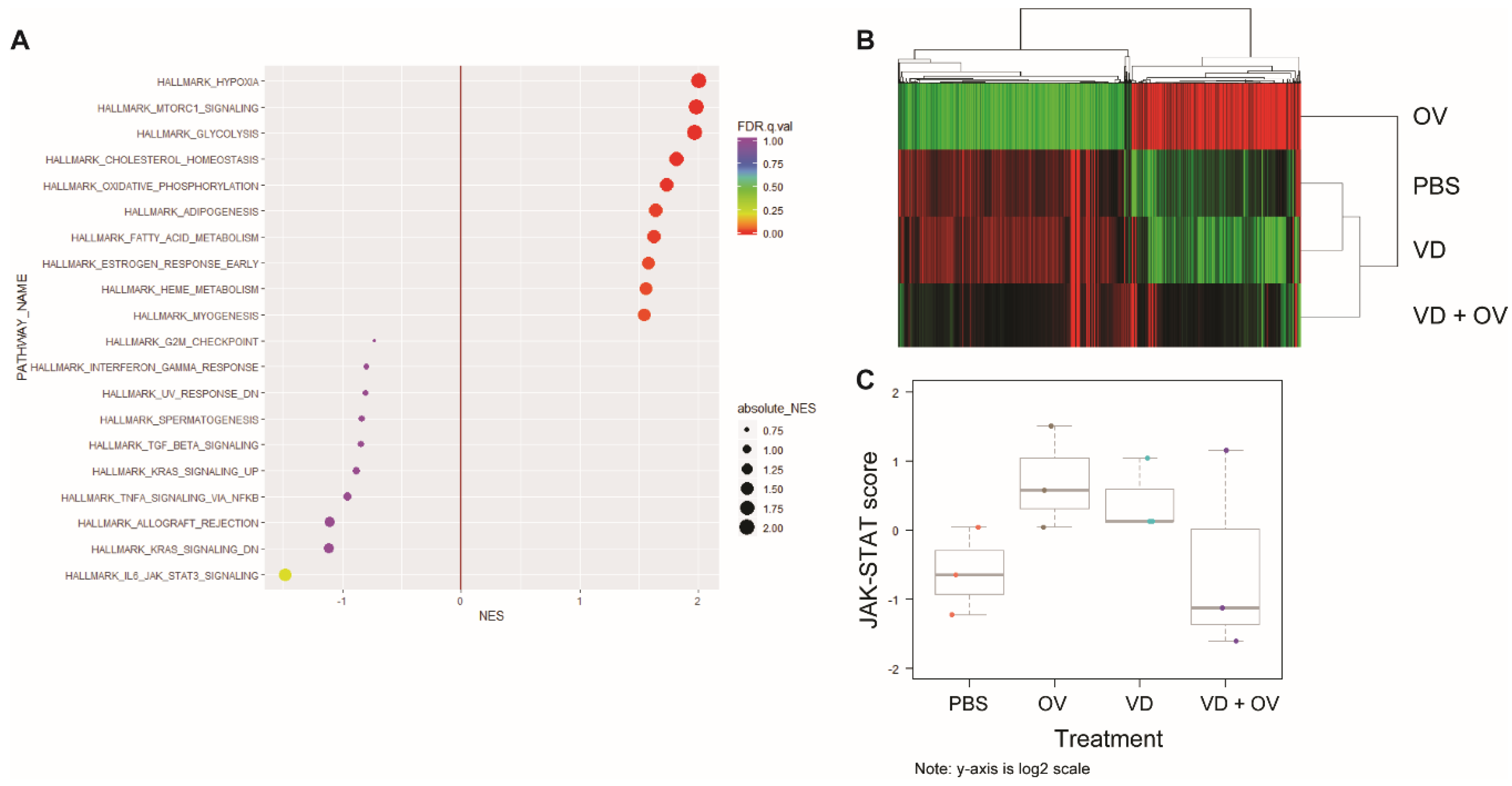 Ijms 21 07326 g005 Ijms 21 07326 g005