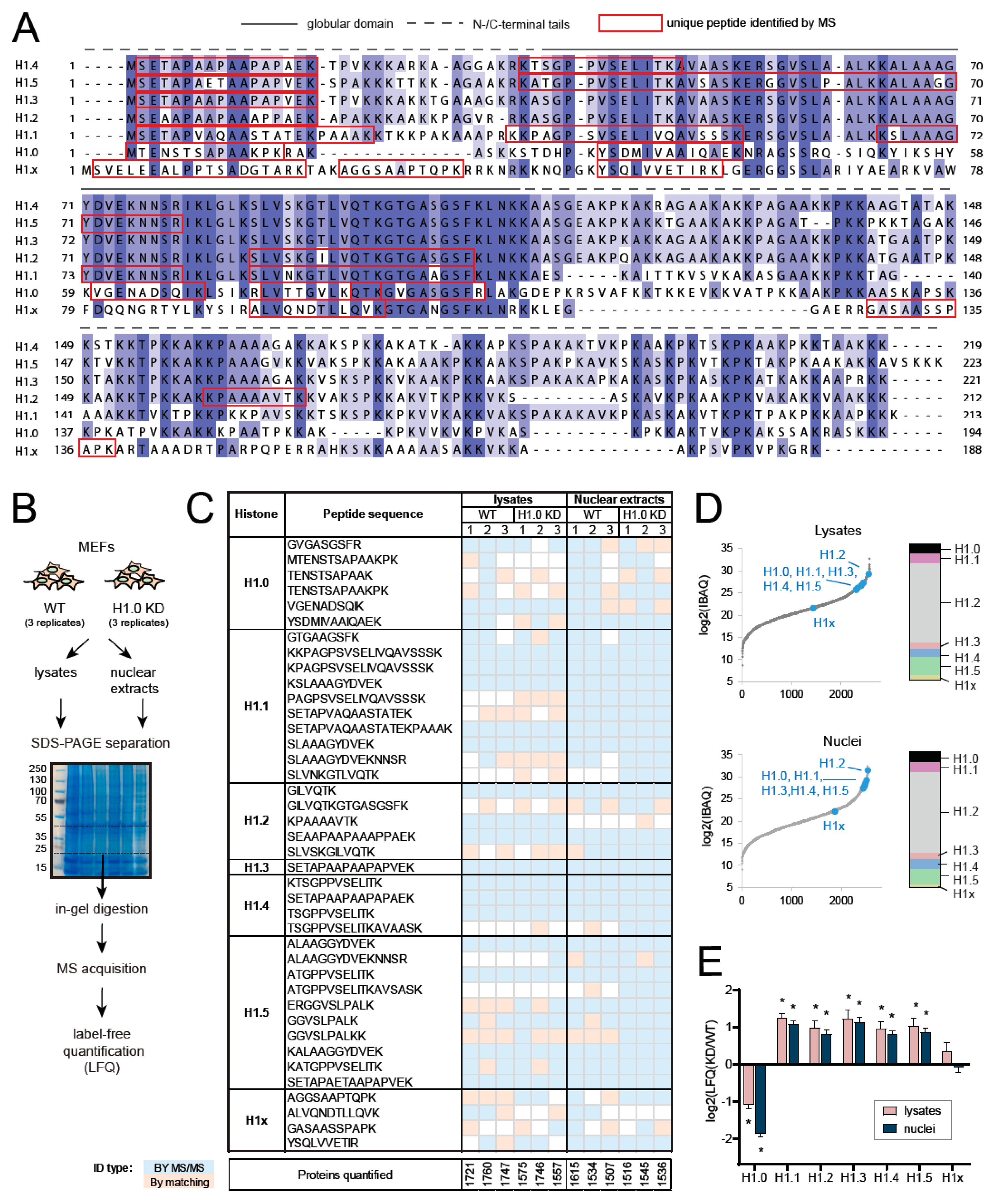 Ijms 21 07330 g001 Ijms 21 07330 g001