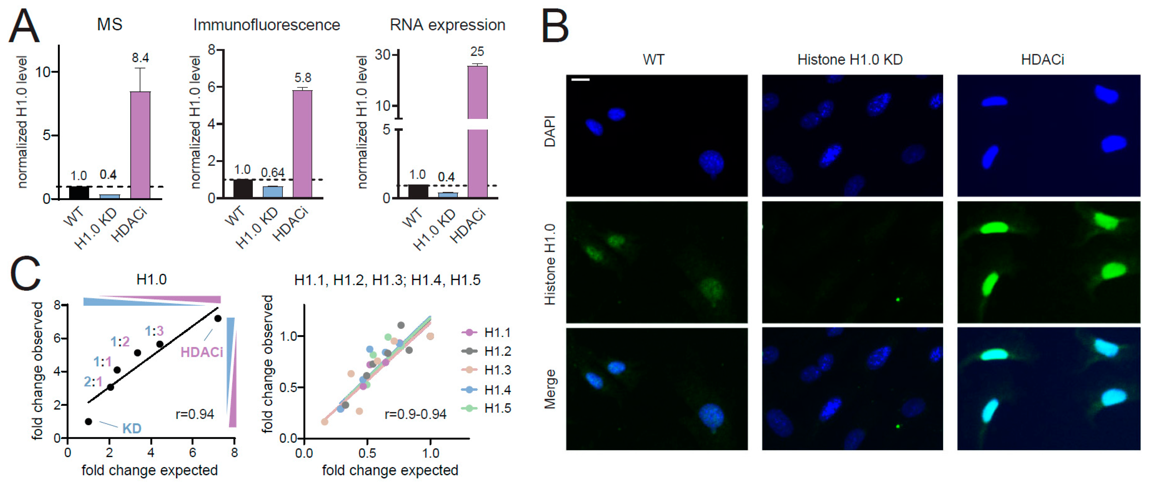 Ijms 21 07330 g002 Ijms 21 07330 g002