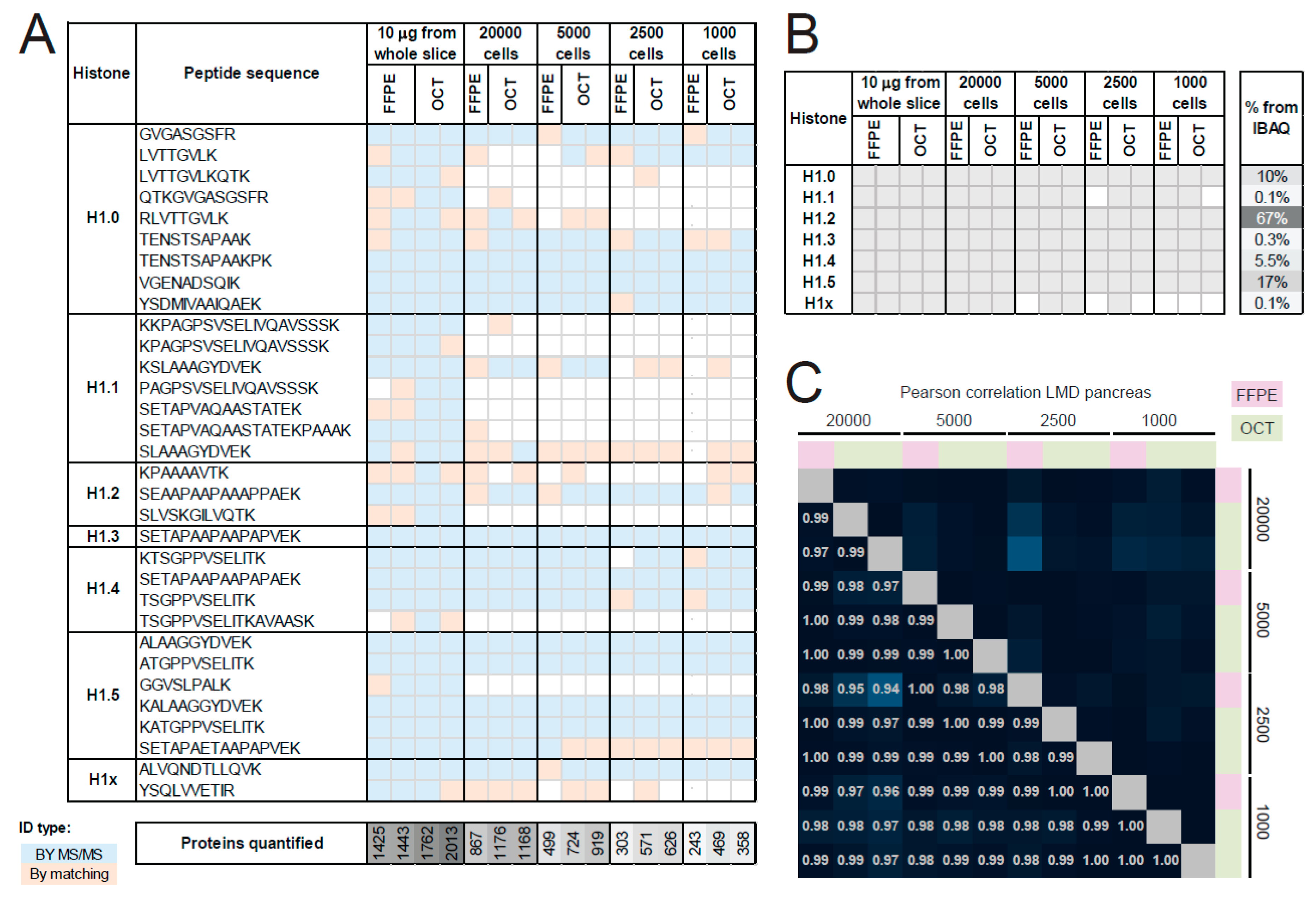 Ijms 21 07330 g004 Ijms 21 07330 g004