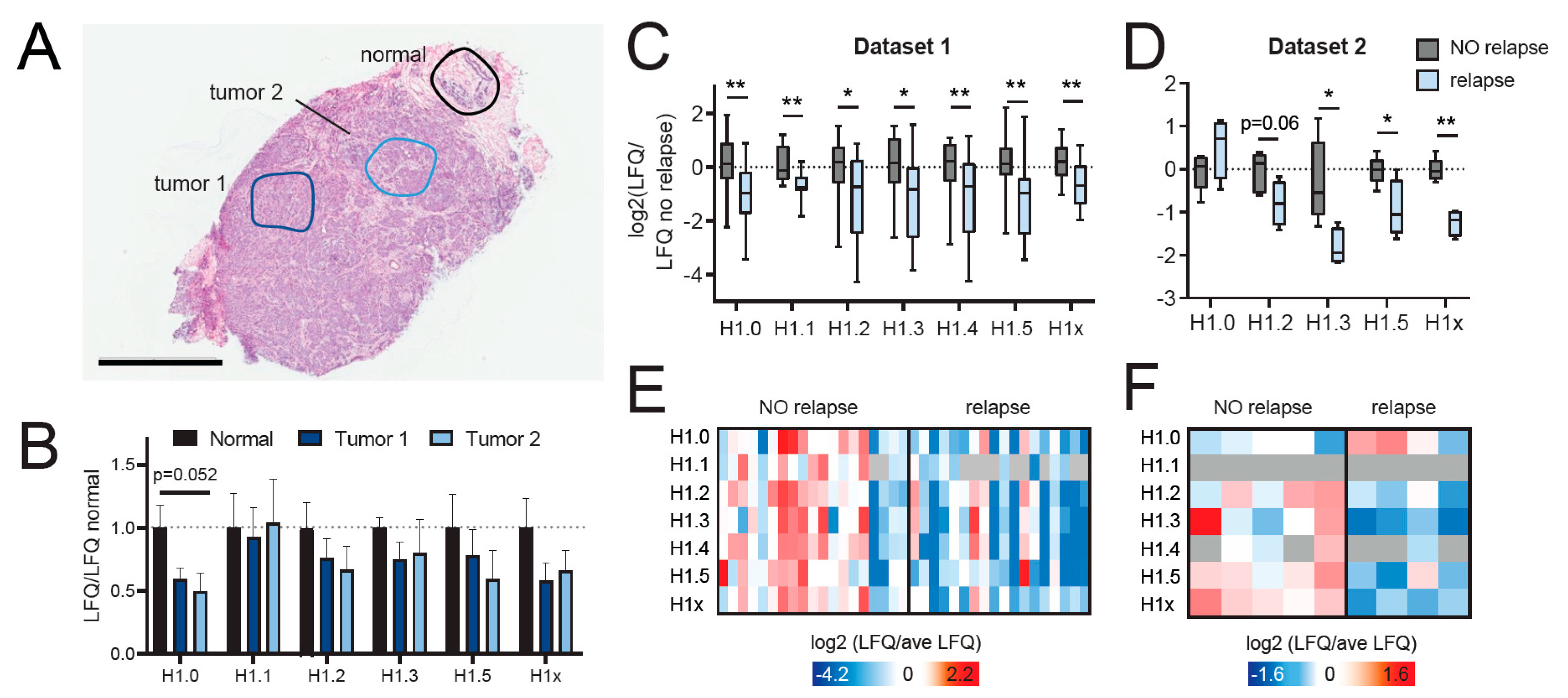 Ijms 21 07330 g005 Ijms 21 07330 g005