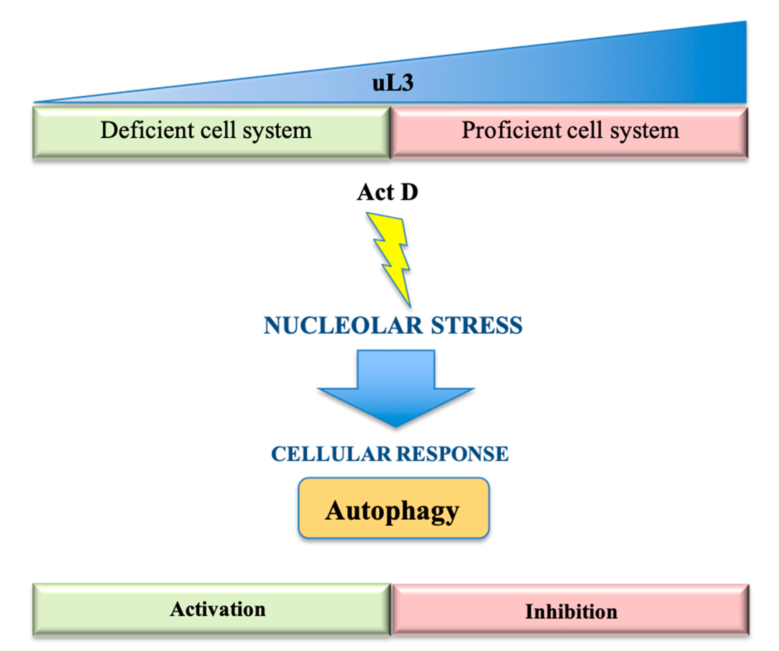 Ijms 21 07334 g002 Ijms 21 07334 g002