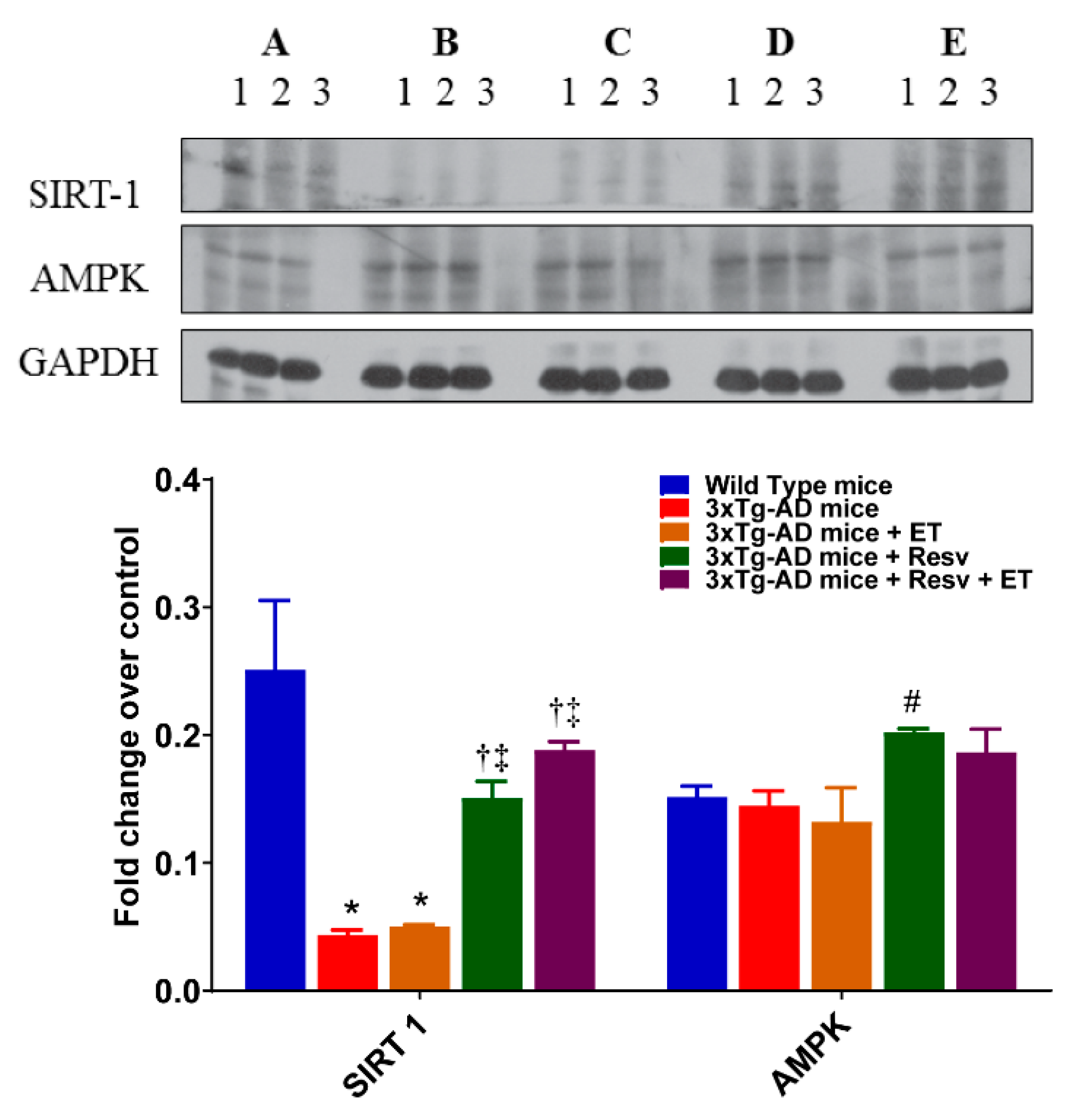Ijms 21 07337 g008 Ijms 21 07337 g008