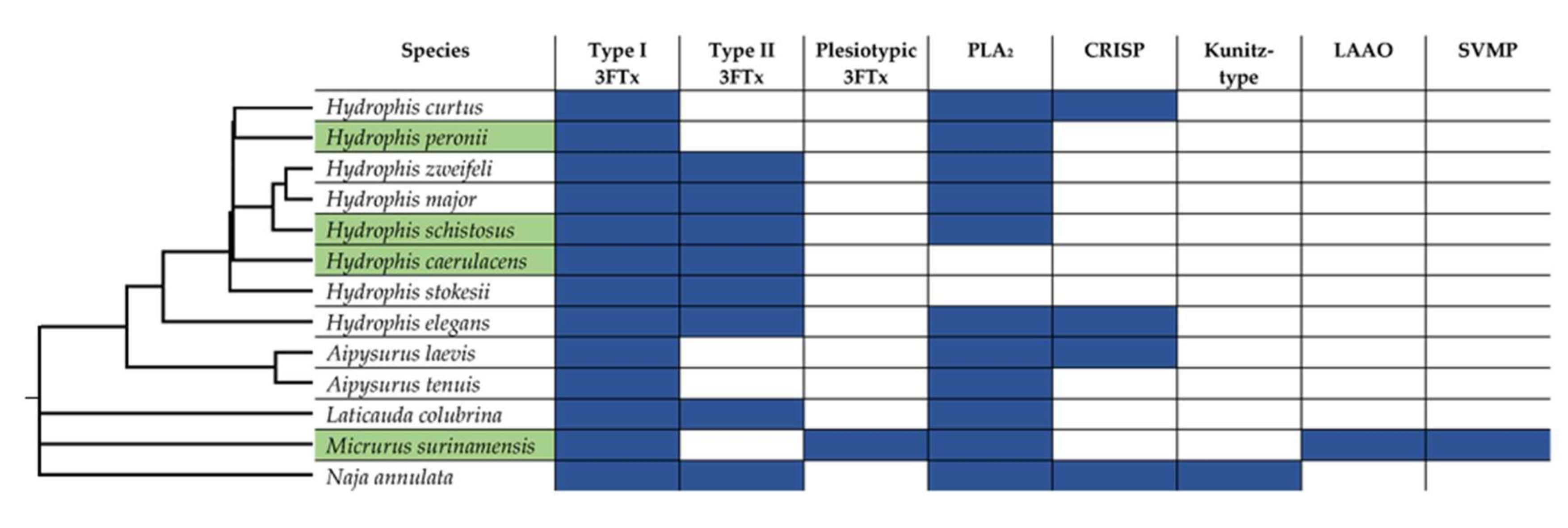 Ijms 21 07377 g003 Ijms 21 07377 g003