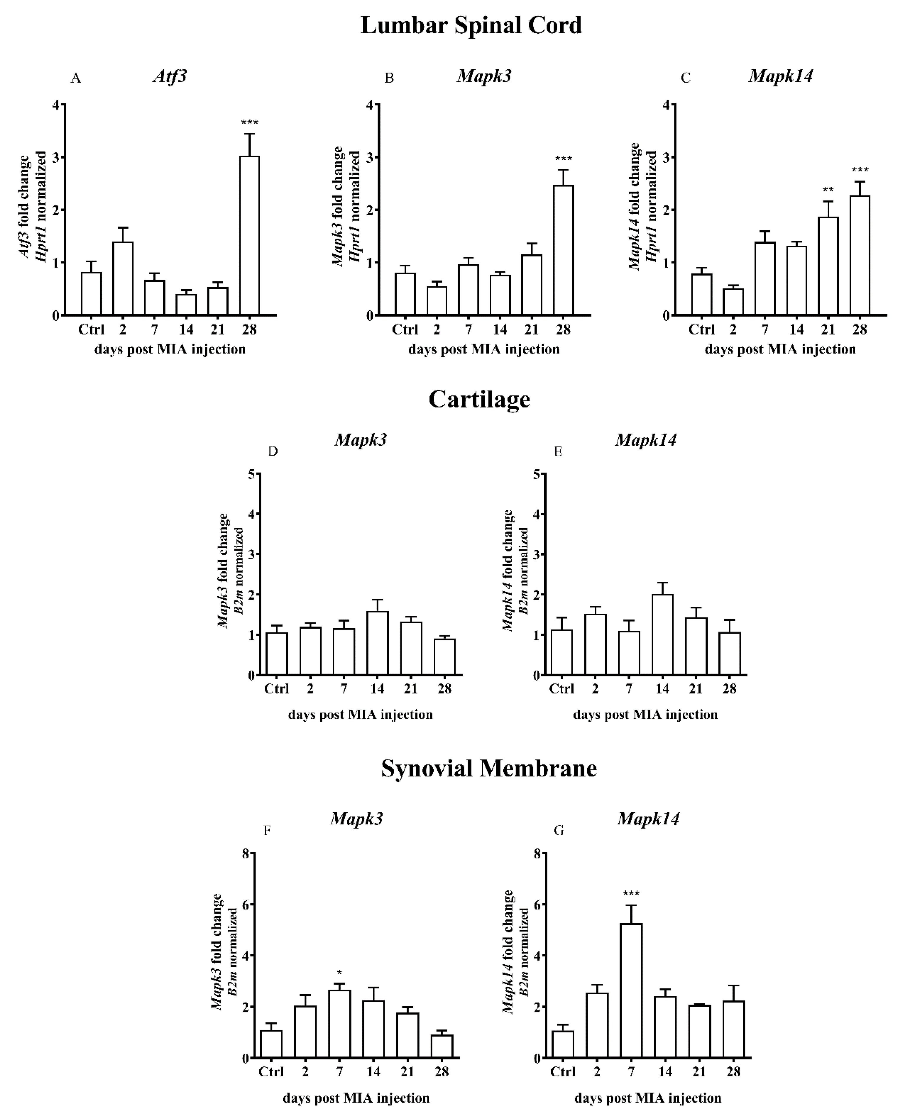 Ijms 21 07381 g002 Ijms 21 07381 g002