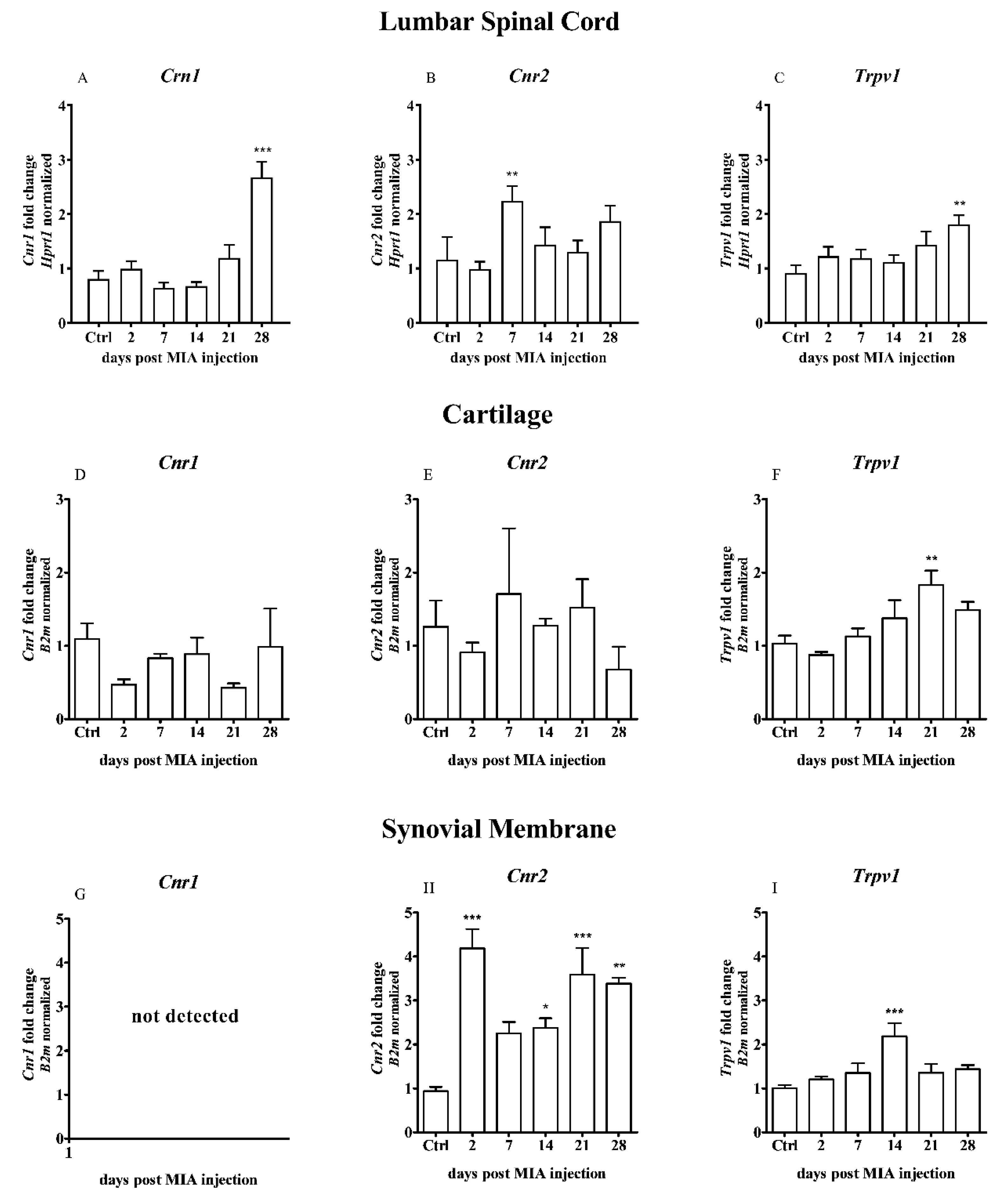 Ijms 21 07381 g003 Ijms 21 07381 g003