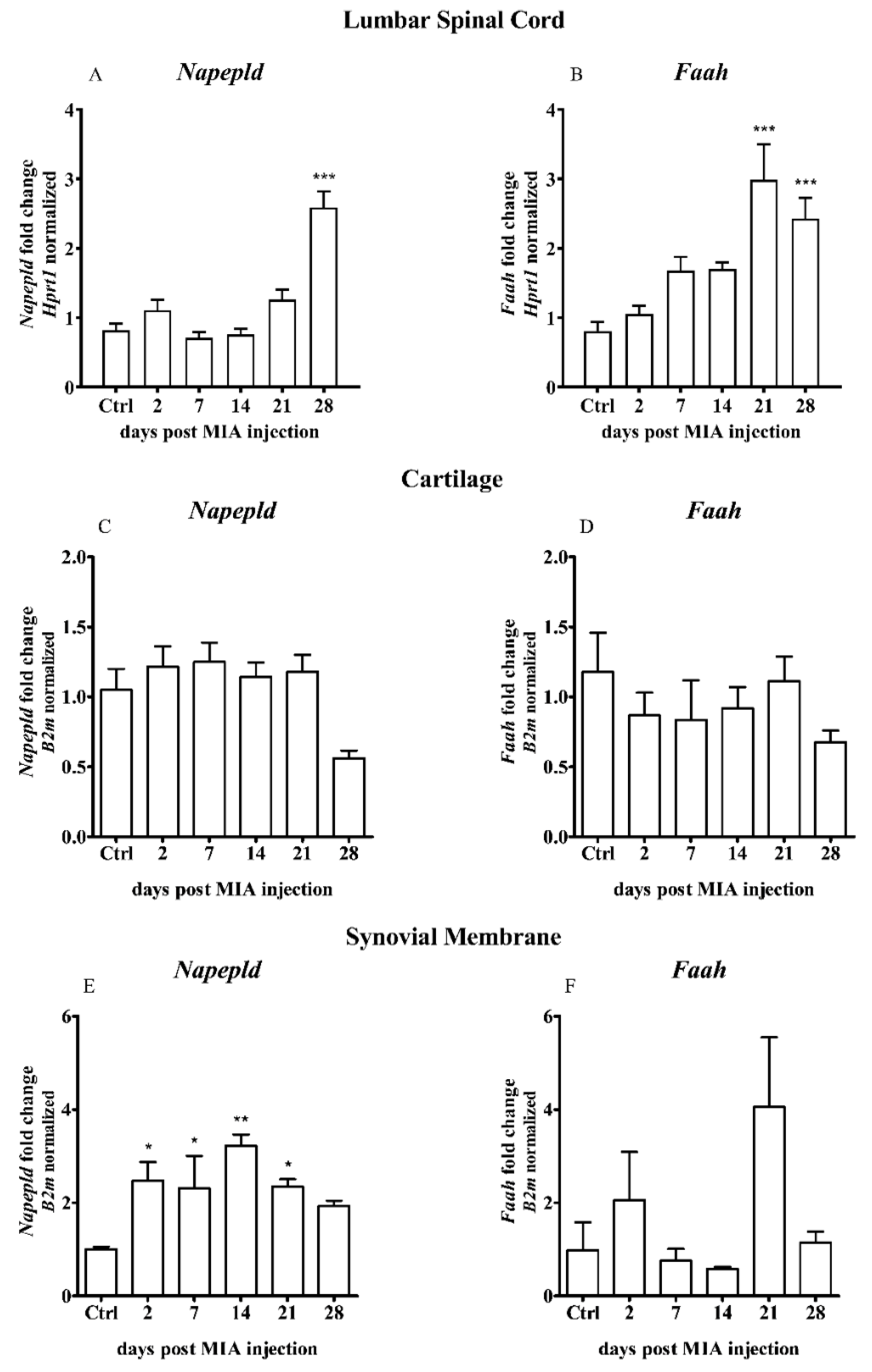 Ijms 21 07381 g004 Ijms 21 07381 g004
