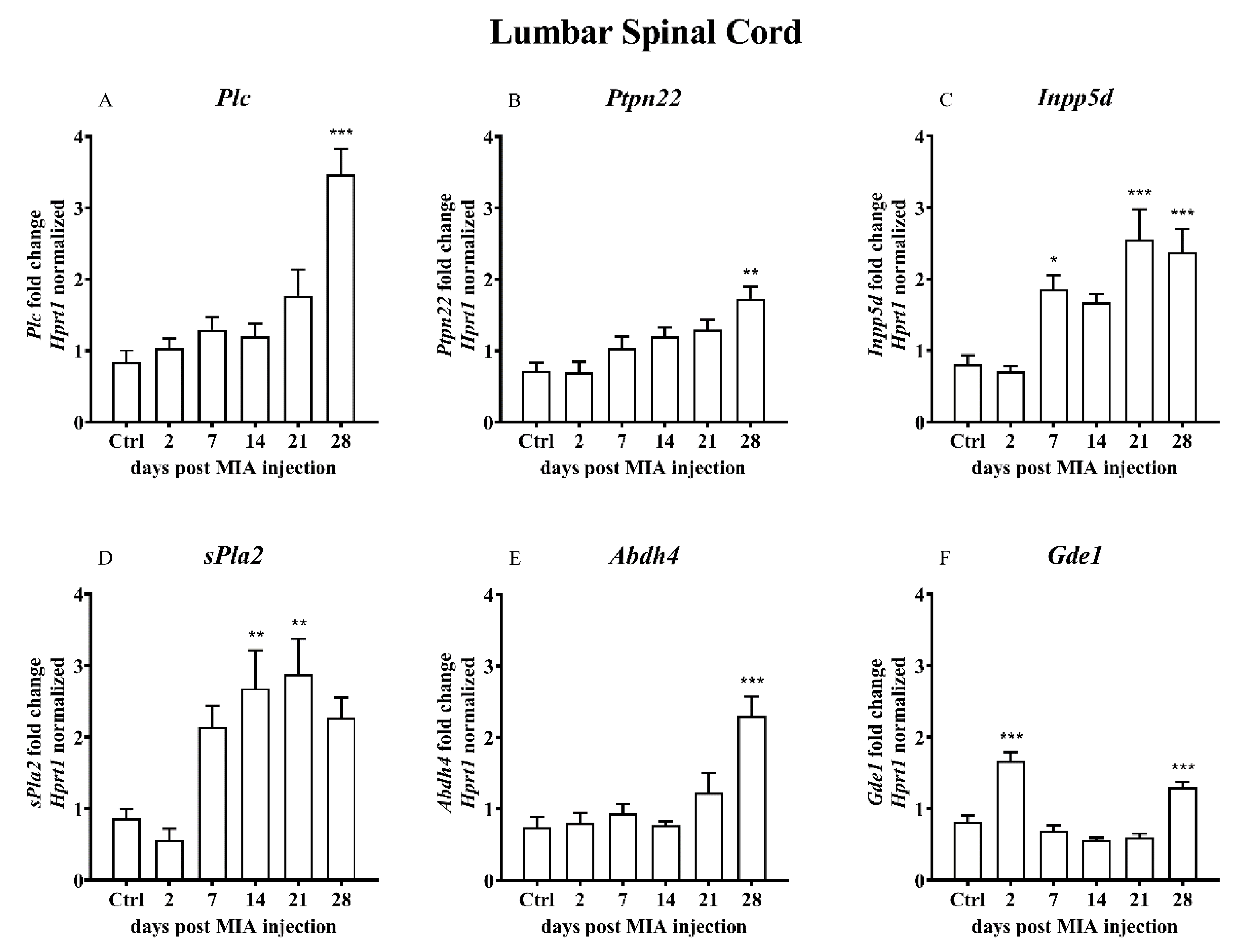 Ijms 21 07381 g005a Ijms 21 07381 g005a