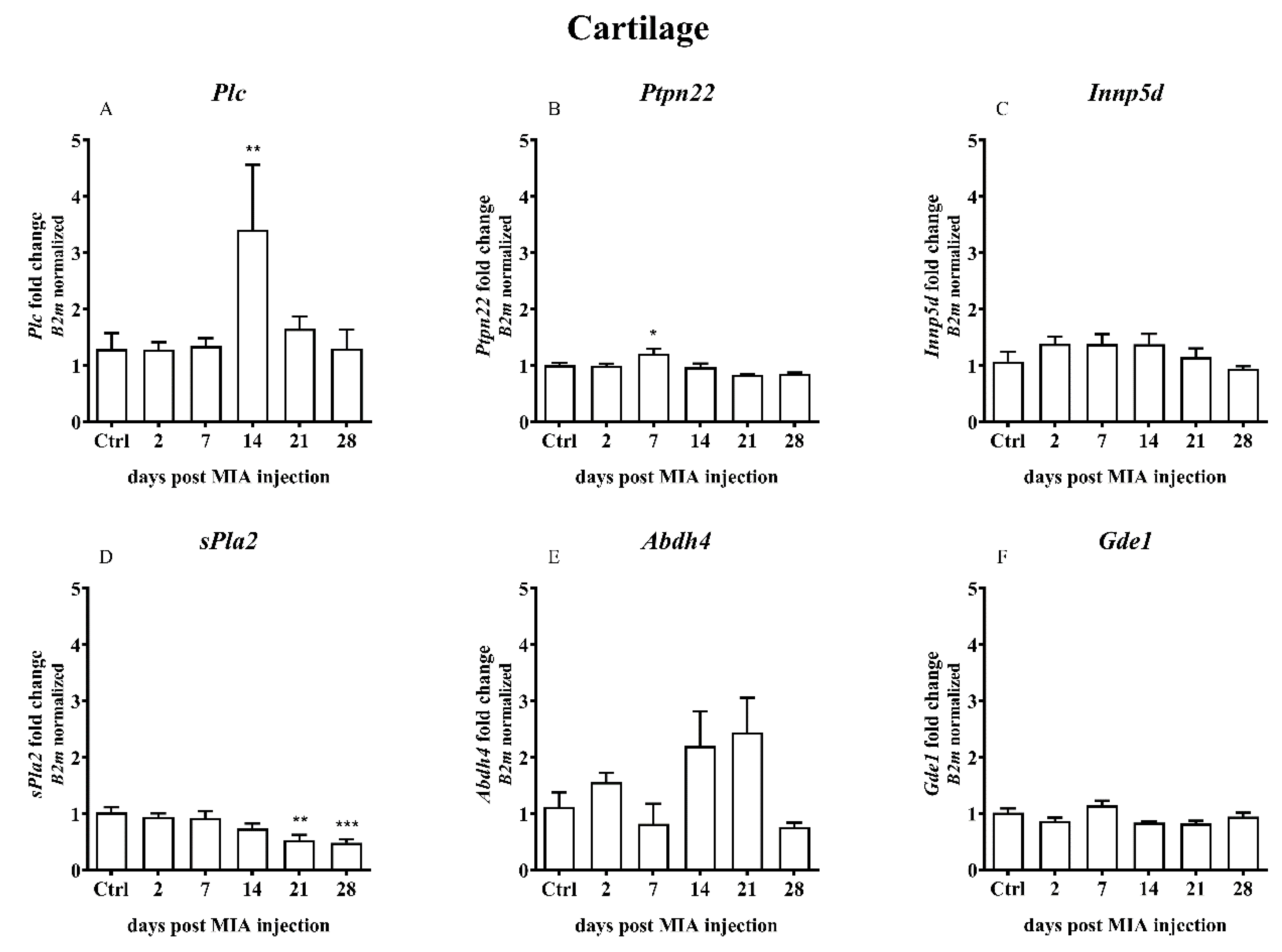 Ijms 21 07381 g006a Ijms 21 07381 g006a