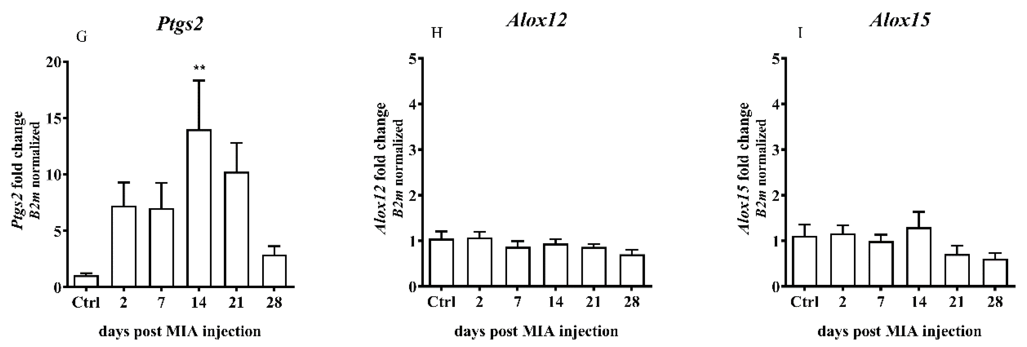 Ijms 21 07381 g006b Ijms 21 07381 g006b
