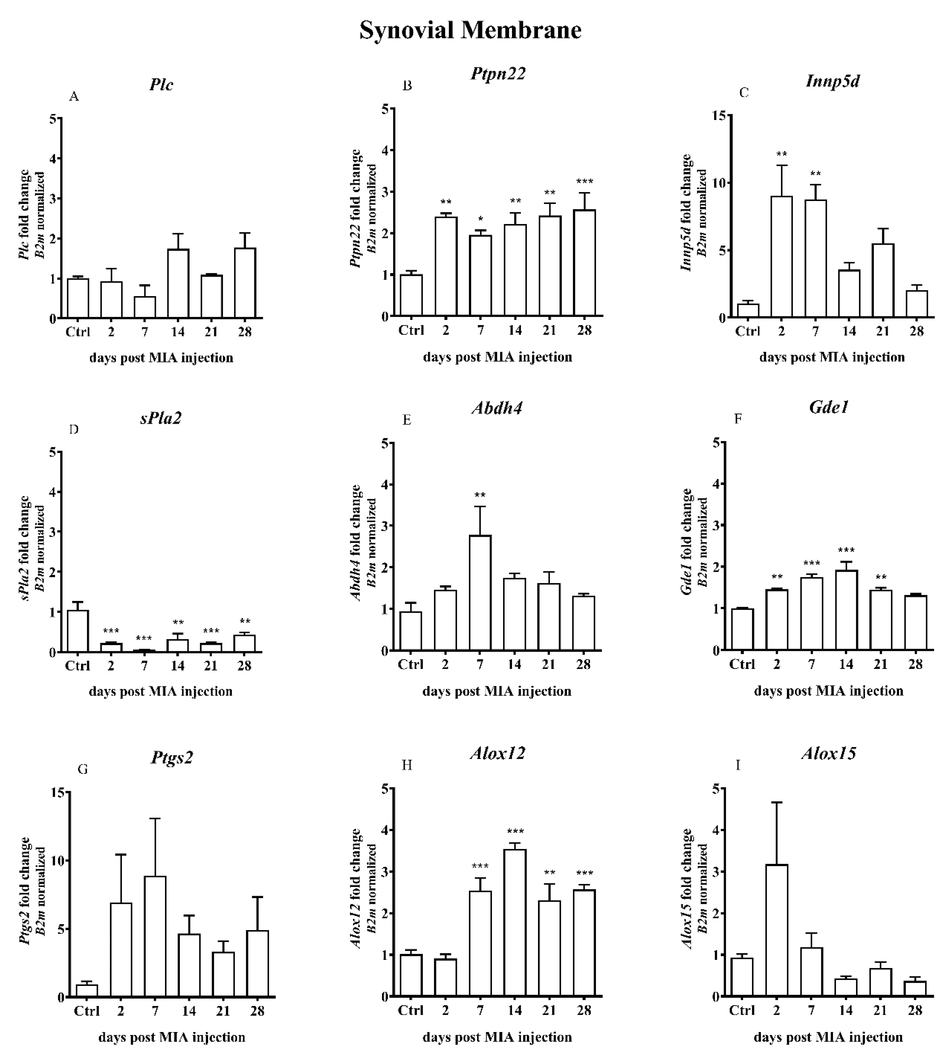 Ijms 21 07381 g007 Ijms 21 07381 g007