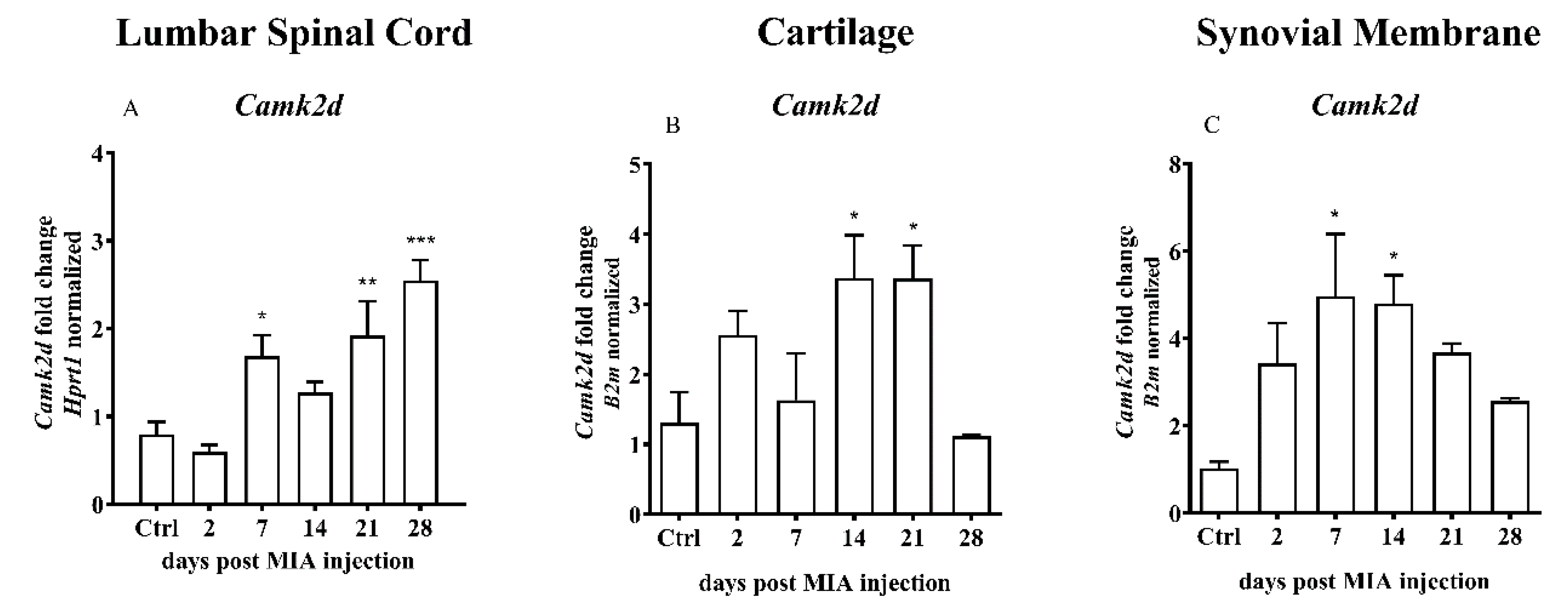 Ijms 21 07381 g008 Ijms 21 07381 g008