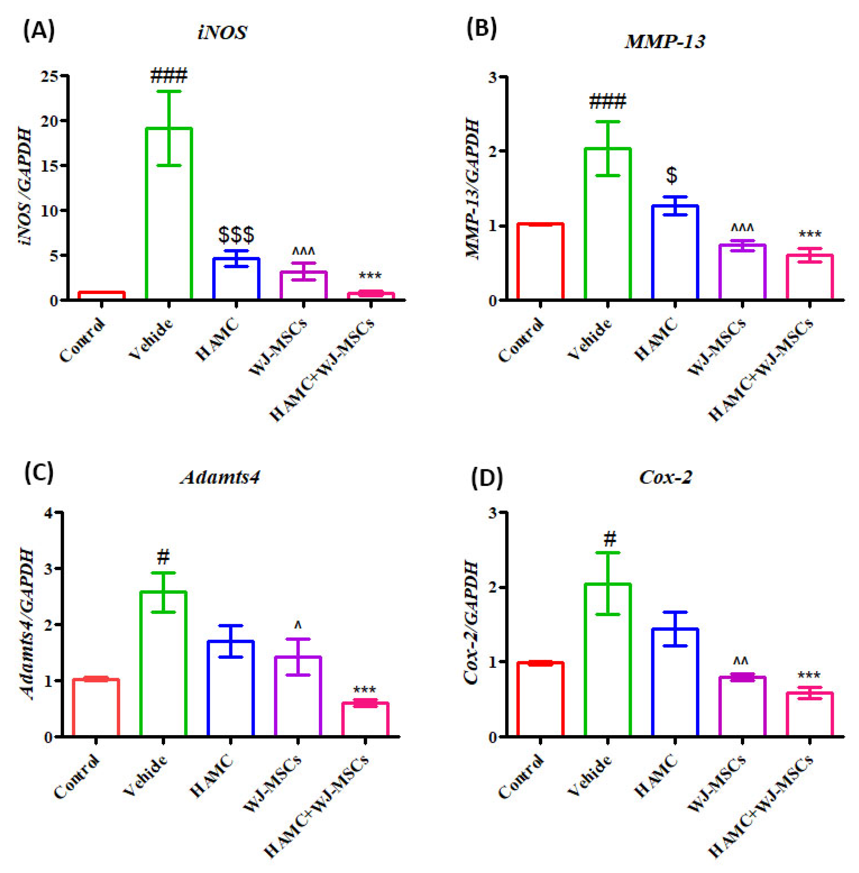 Ijms 21 07391 g006 Ijms 21 07391 g006