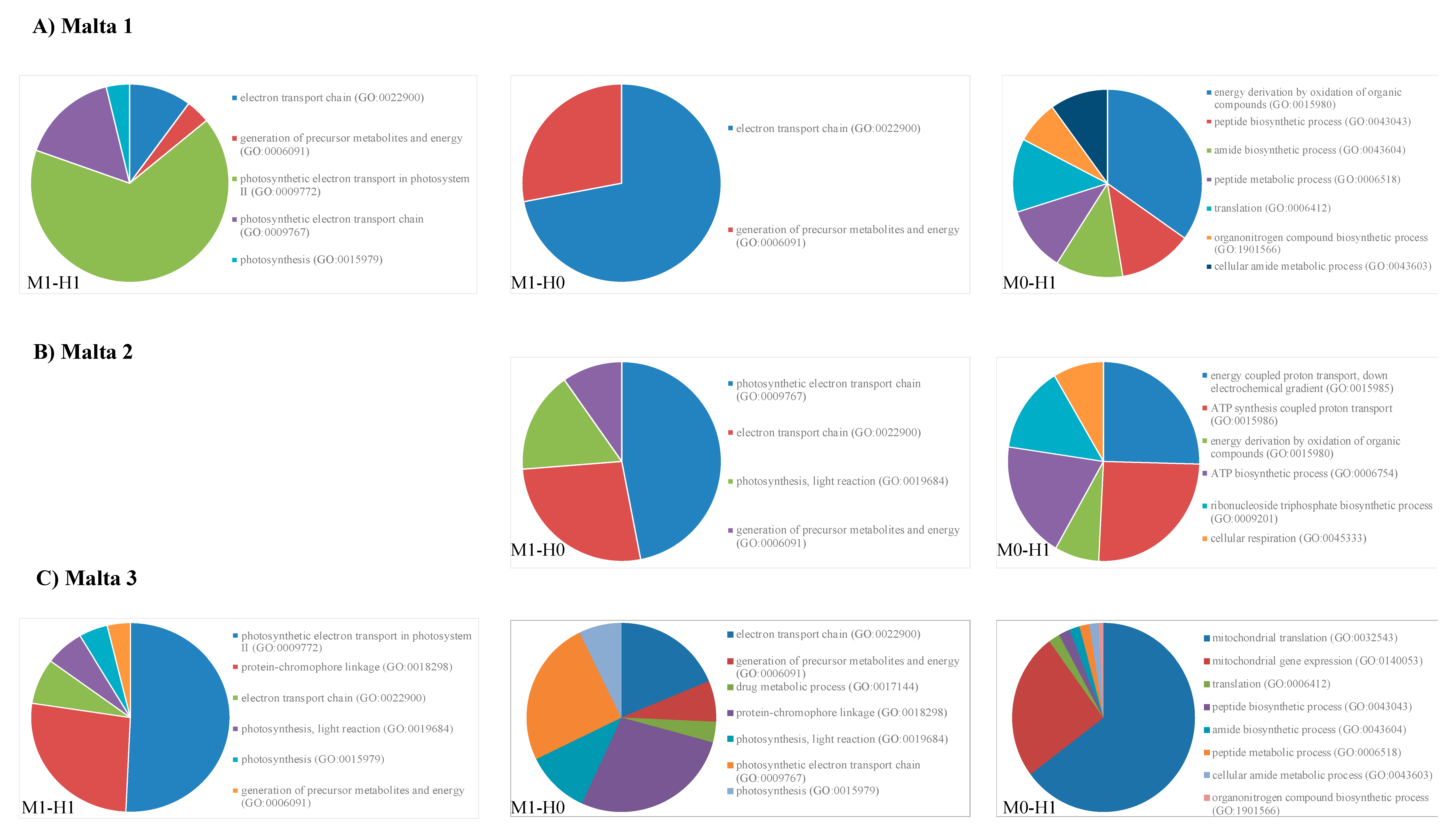 Ijms 21 07393 g004a Ijms 21 07393 g004a
