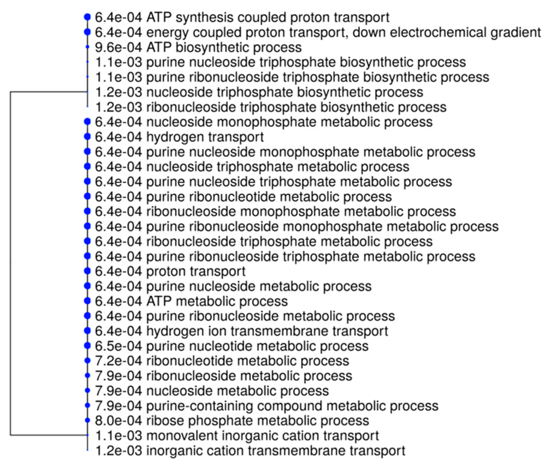 Ijms 21 07393 g005 Ijms 21 07393 g005